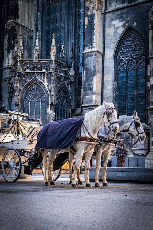 Digital Image Picture Photo Pic Wallpaper Background A Horse Drawn Carriage