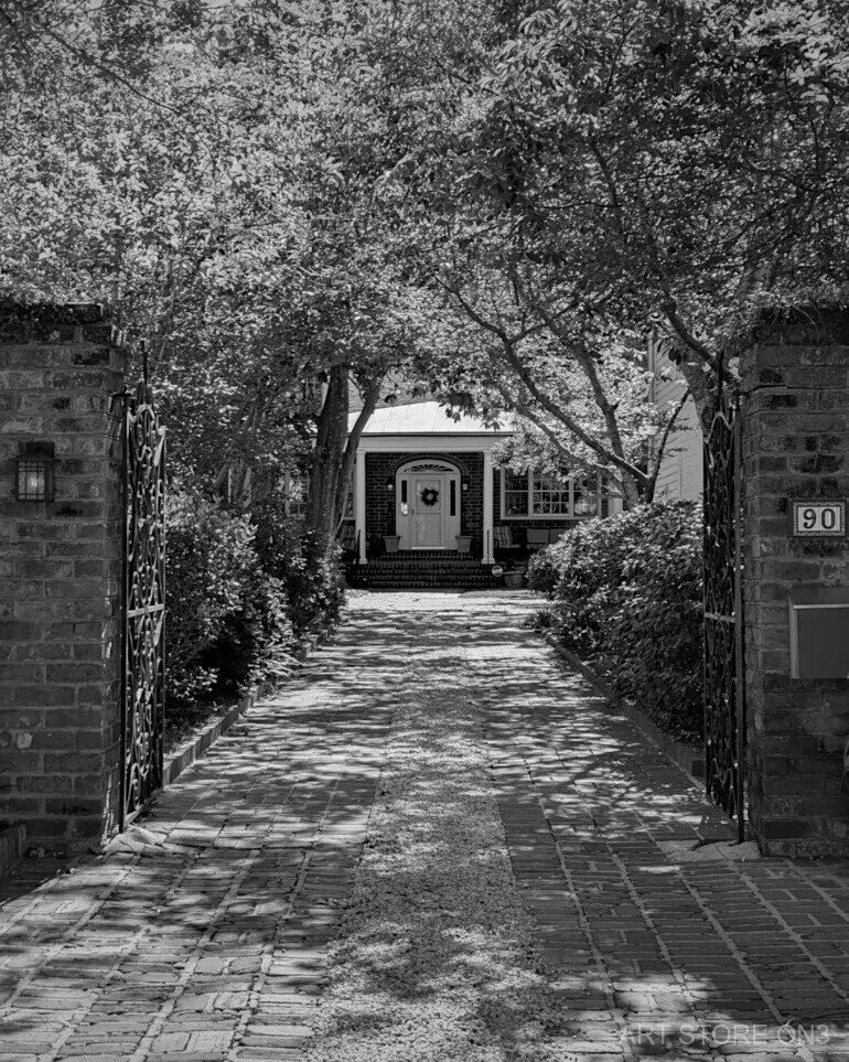 Garden Gate Driveway – Photography Print, 8.5×11