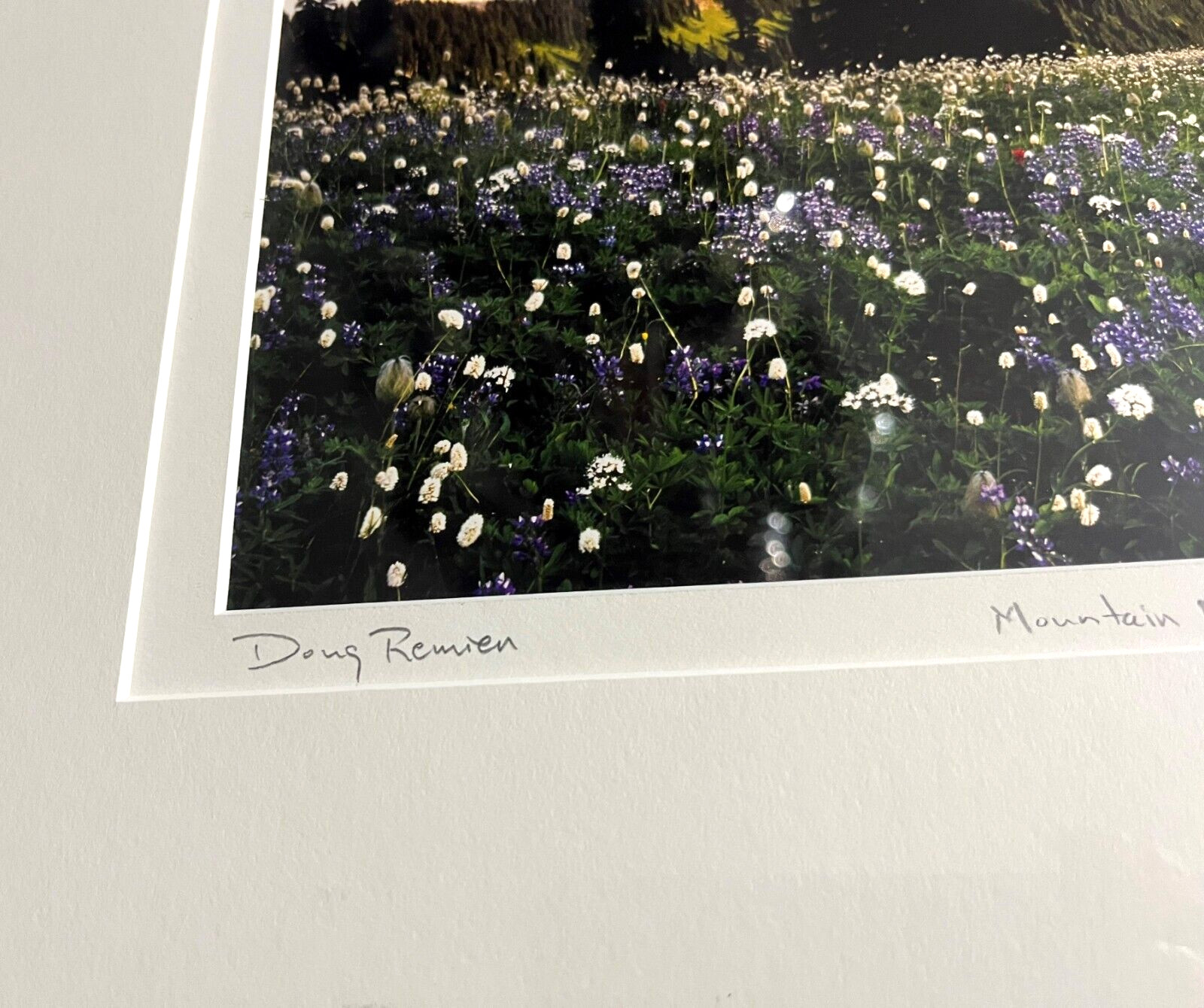 DOUG REMIEN Mountain Meadows Mt Rainer Park 156/400 Limited Signed Framed Photo
