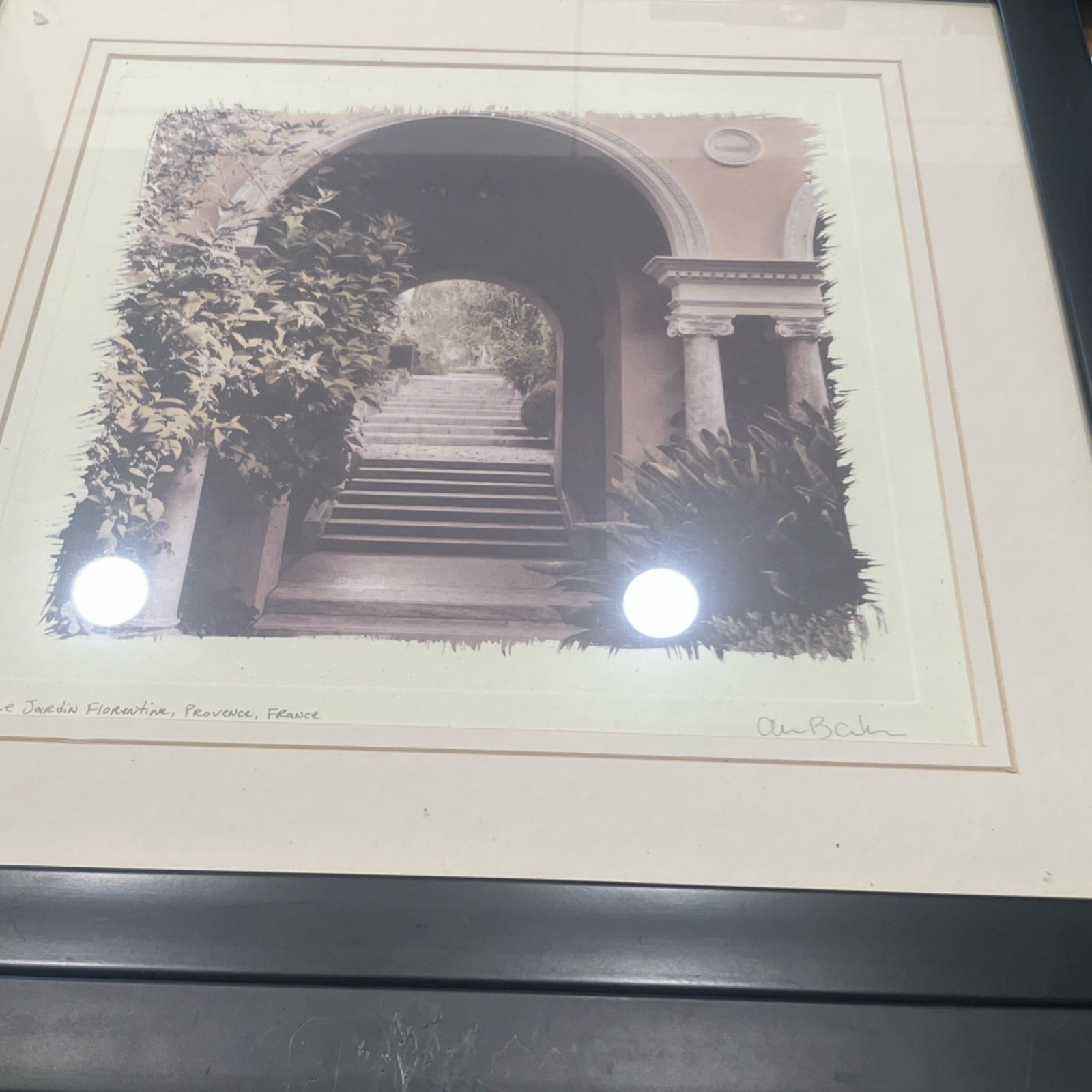 Alan Blaustein European Garden Sepia Set of 3 Framed Landscape Photographs