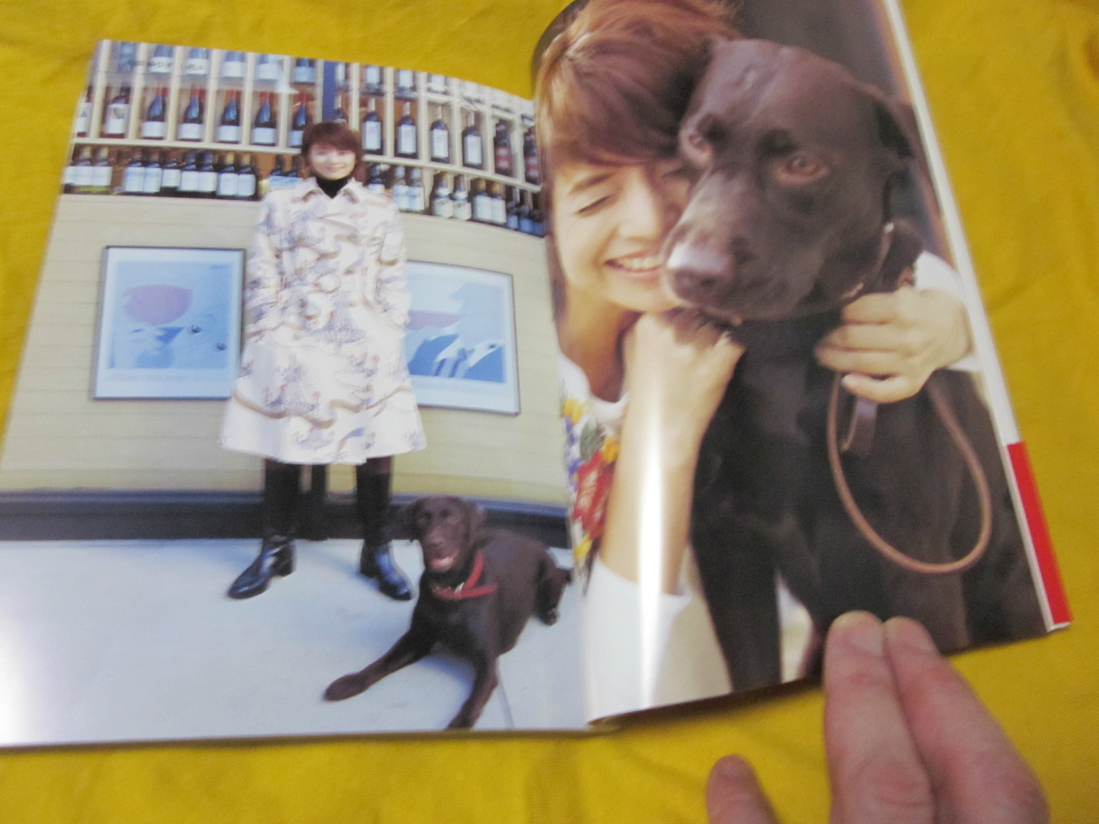 Kishin Shinoyama “MY PUPPY” 2005, 1st. Edition, Excellent