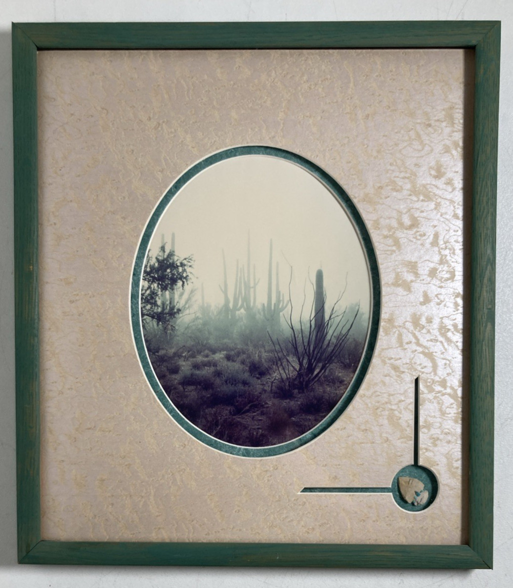 Vintage Original Photography Print Southwestern Saguaro Desert Misty Morning