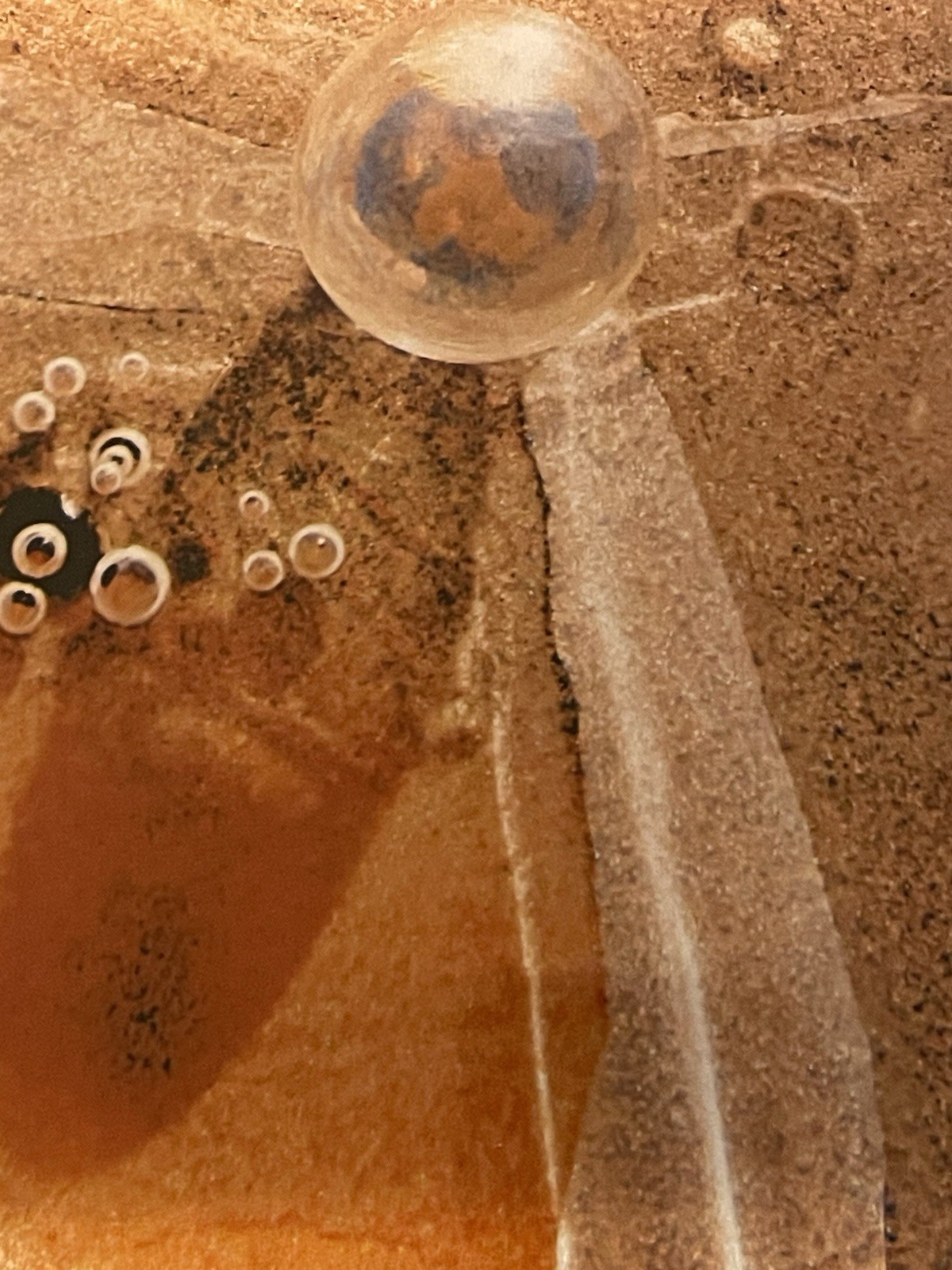 Original Photograph On Metal Sedona,Arizona By Claudia Cooke