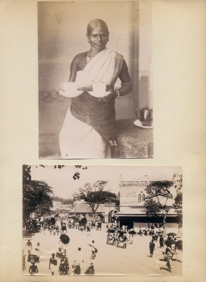 Photo Colombo Ceylon Sri Lanka, Local Woman with Tea,… – 10385806