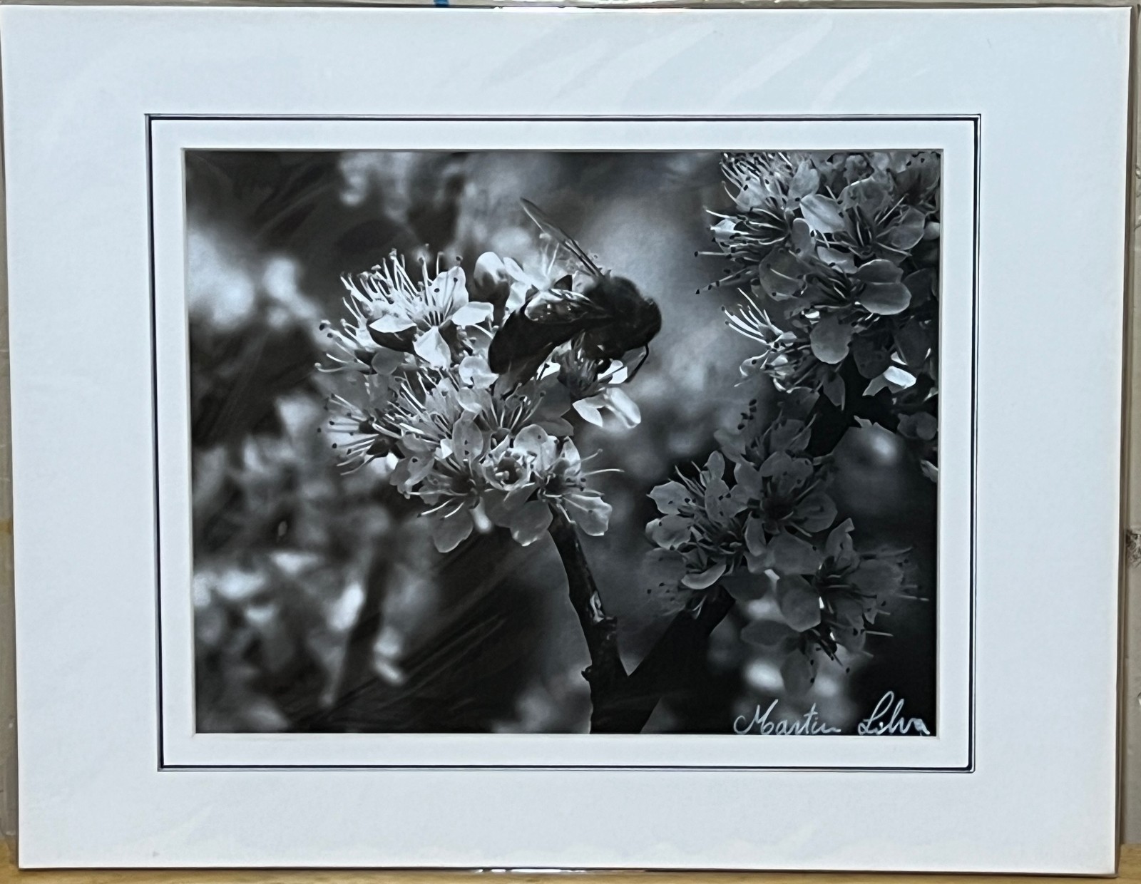 Bee on flowers black & white photograph signed matted 11 x 14 inch