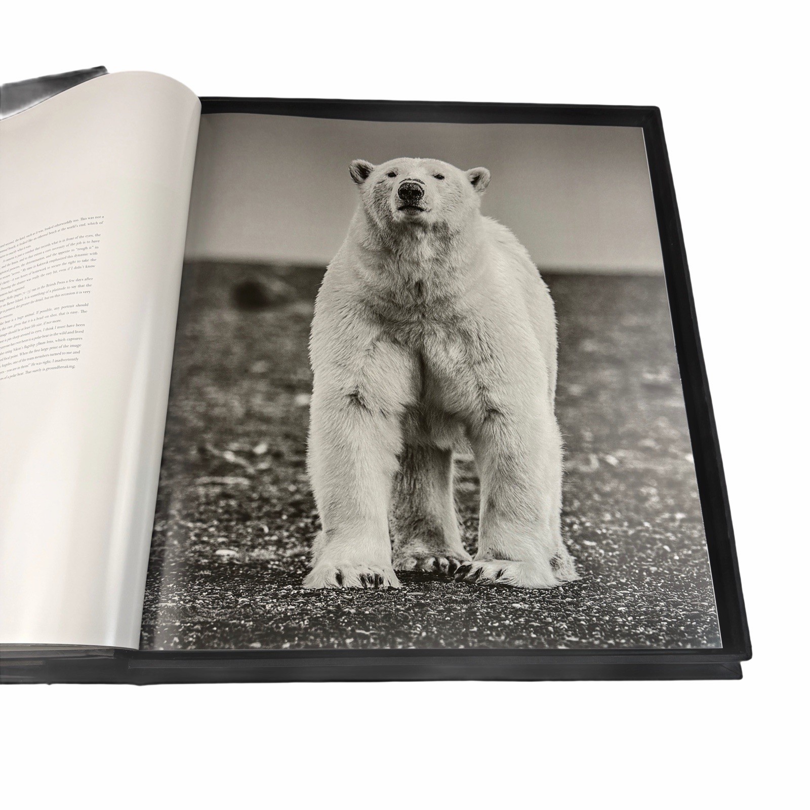David Yarrow Wild Encounters Signed Book Rizzoli Artist Proof AP Clamshell Box