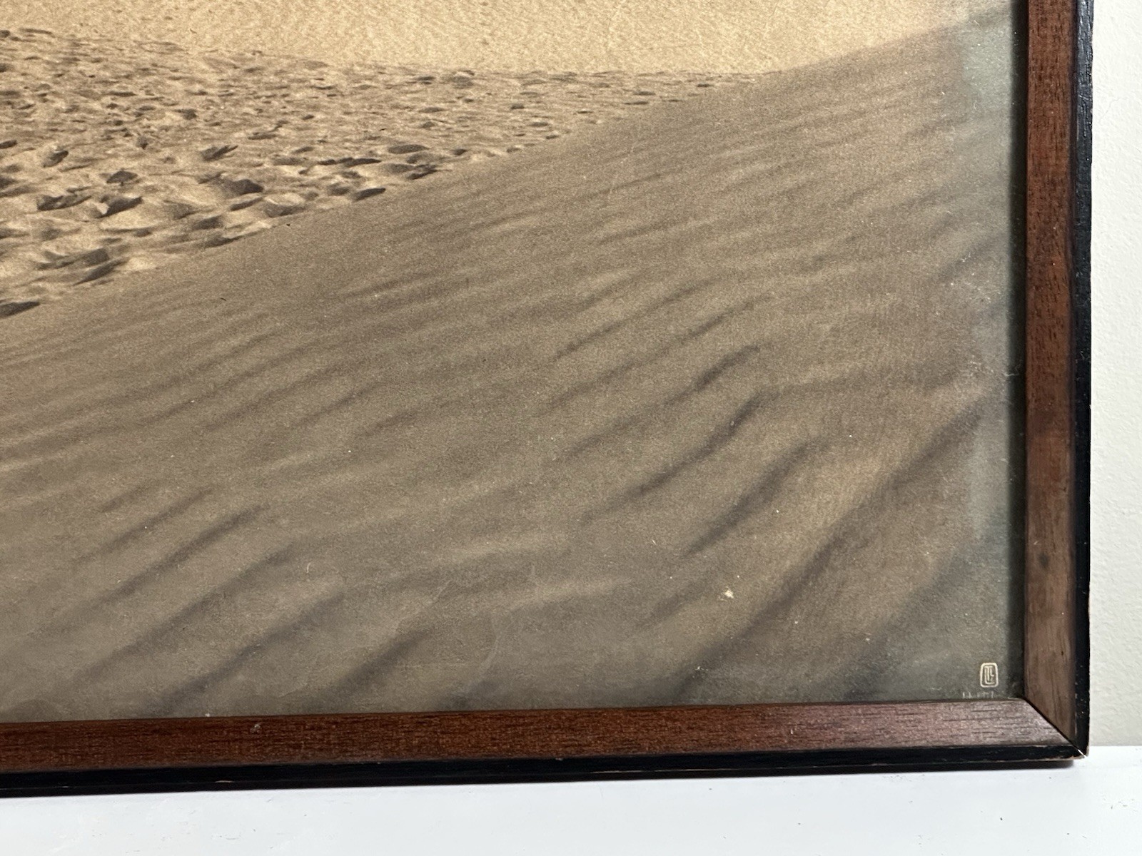 As Found Framed Lehnert & Landrock Panoramic Photo North African Desert Camel