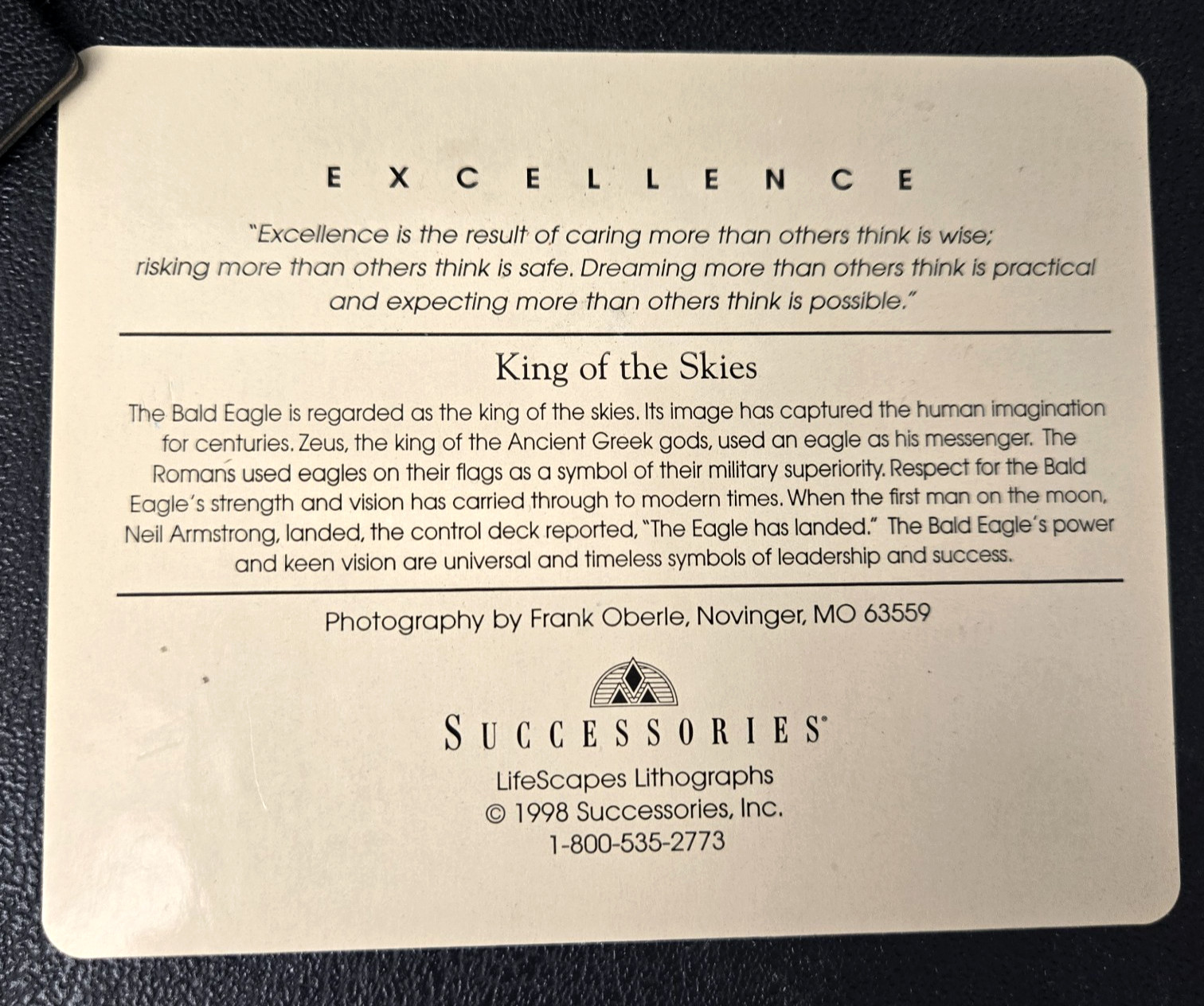 Excellence King Of The Skies Eagle Photo Art Framed Frank Oberle Photography
