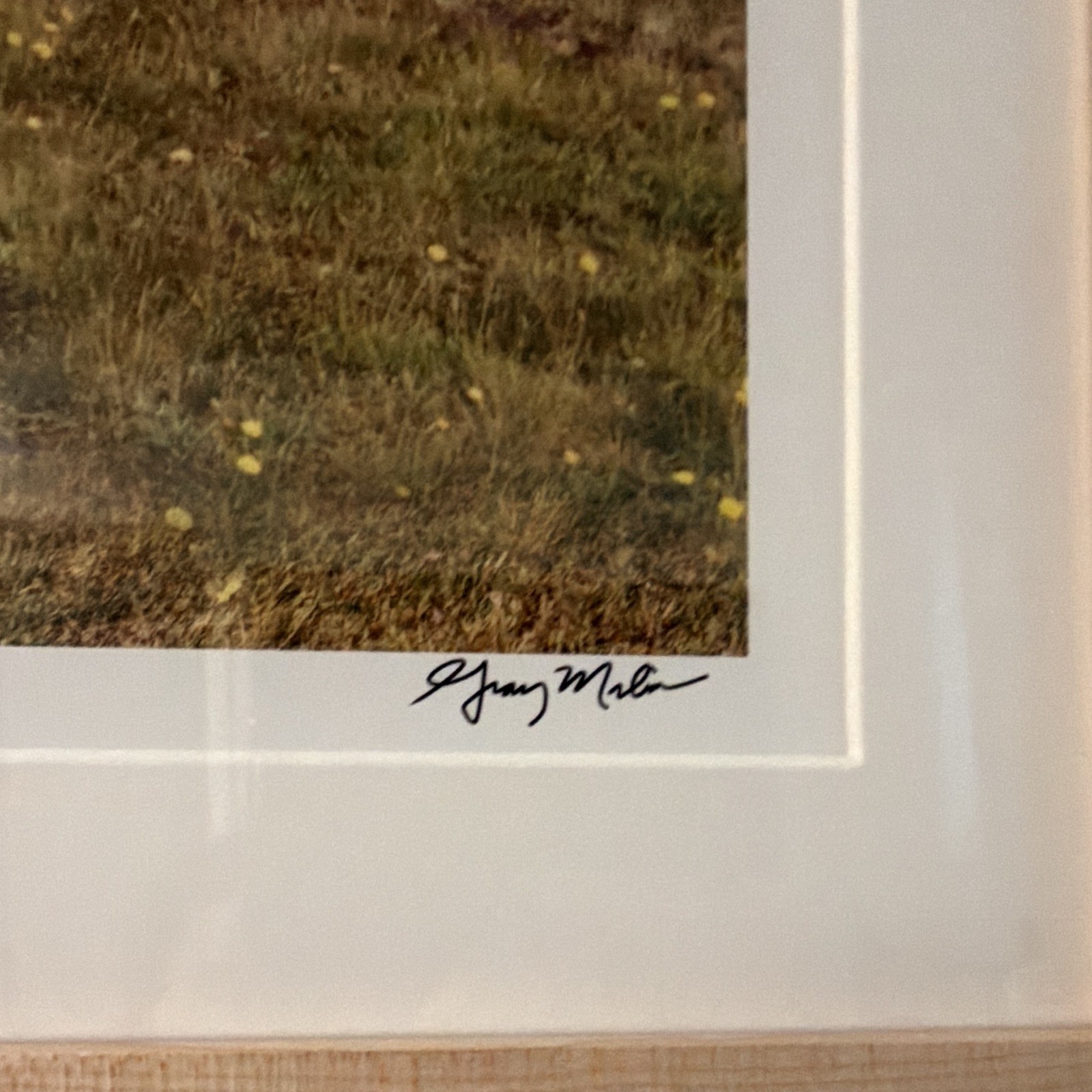 Gray Malin Signed and #6 Framed Matted Color Photo Airplane Vintage Autos Dog