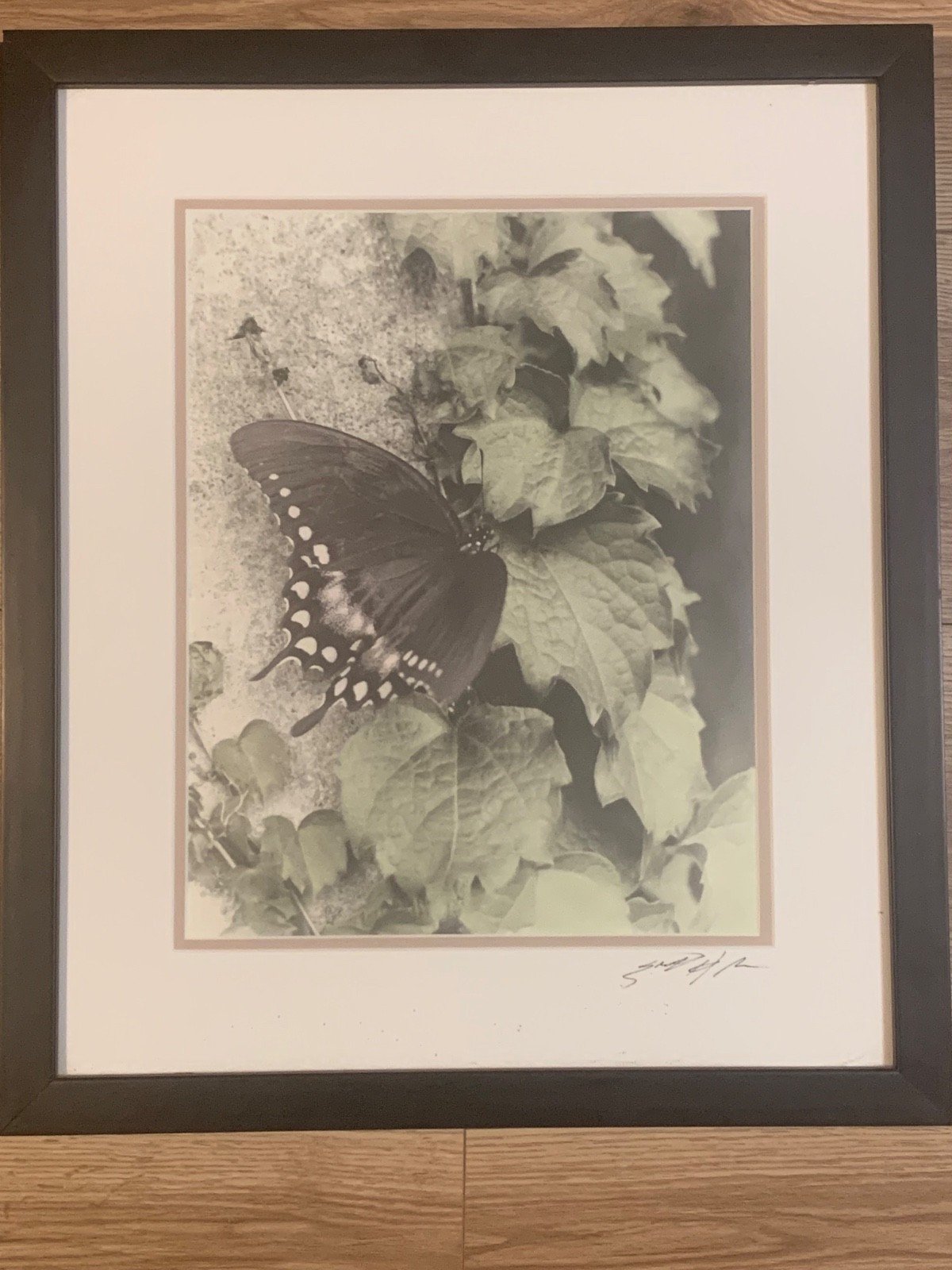 Signed Sepia Butterfly Nature Photograph – Close-Up Botanical Art Print