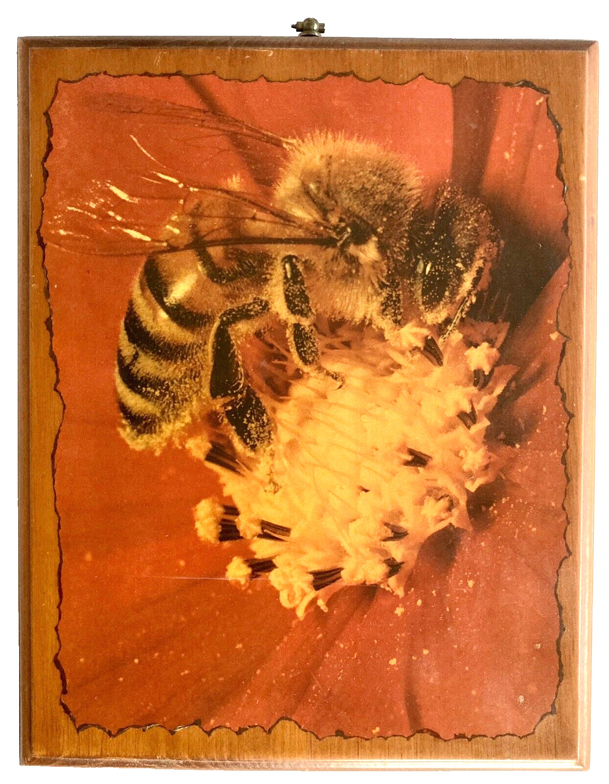 Honey Bee Flower 10″ Wood Garden Art 60s Nature Pollination Sepia Spring Farm