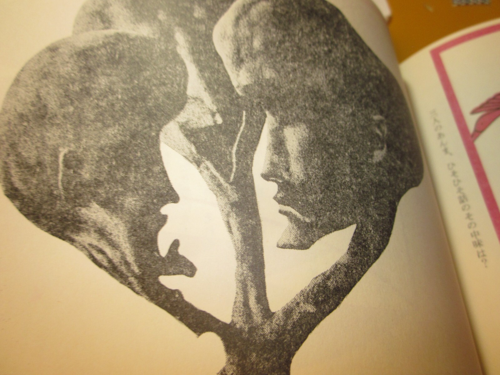 Shuji Terayama Sa-sa otatiai 1968 1st. edition Japan