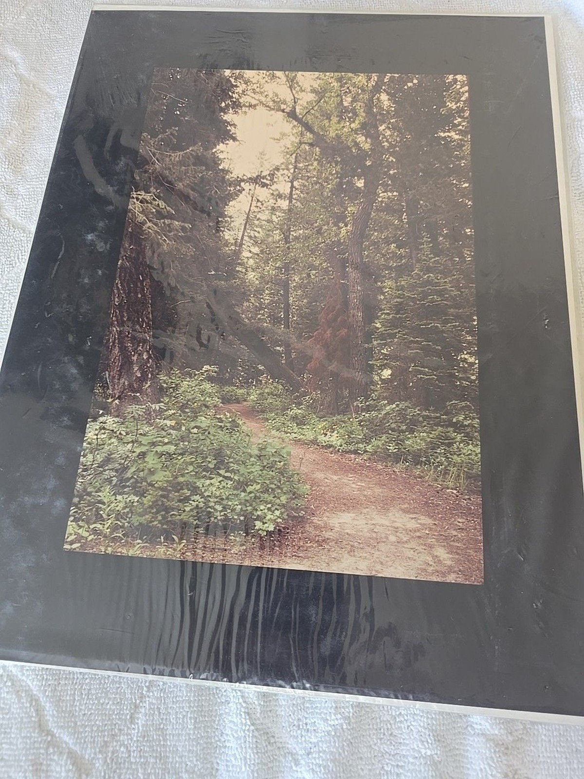 Lot Of 11 Western Landscape Photos 11×16, 12×16, 11×16 Mountains Wildlife