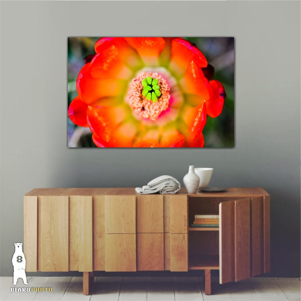 Echinocereus Coccineus (Scarlet Hedgehog Cactus) Flower – Fine Art Prints
