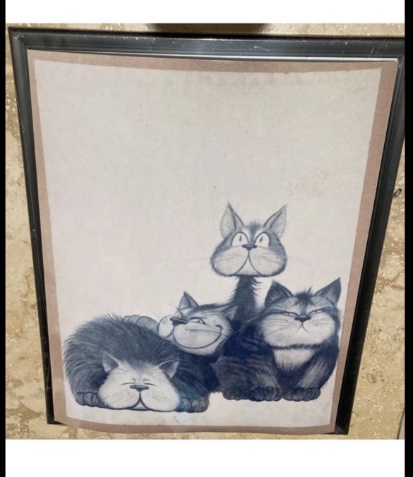 Hilarious cat photo art 8” x 10”