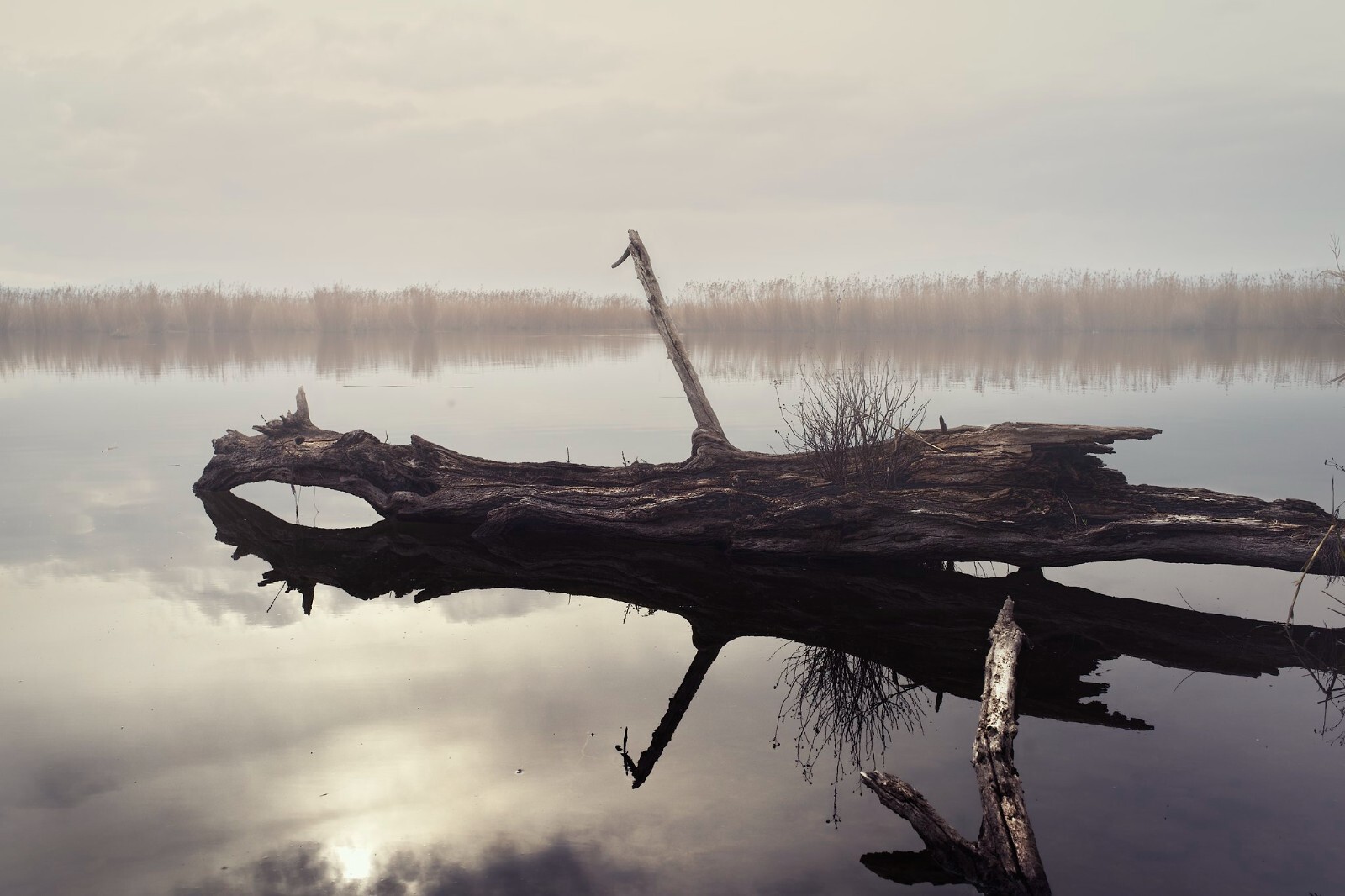 sculpture in the lake