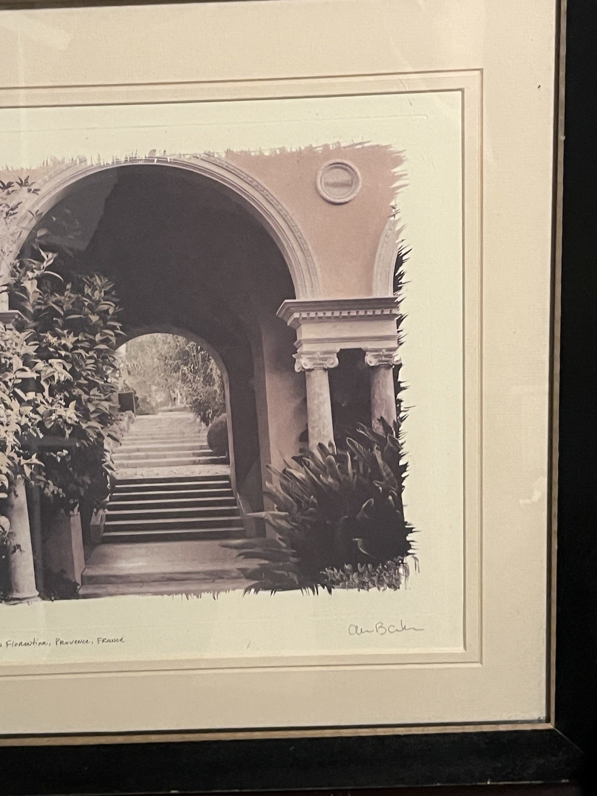 European Garden By Allan Blaustein Photography Framed With Glass 18 1/2 X 18 1/2
