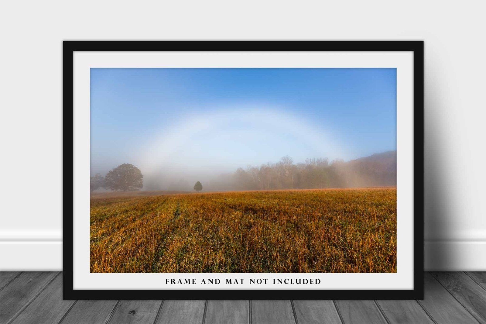 Fog Bow Photography Print: Tennessee Great Smoky Mountains Landscape Photo