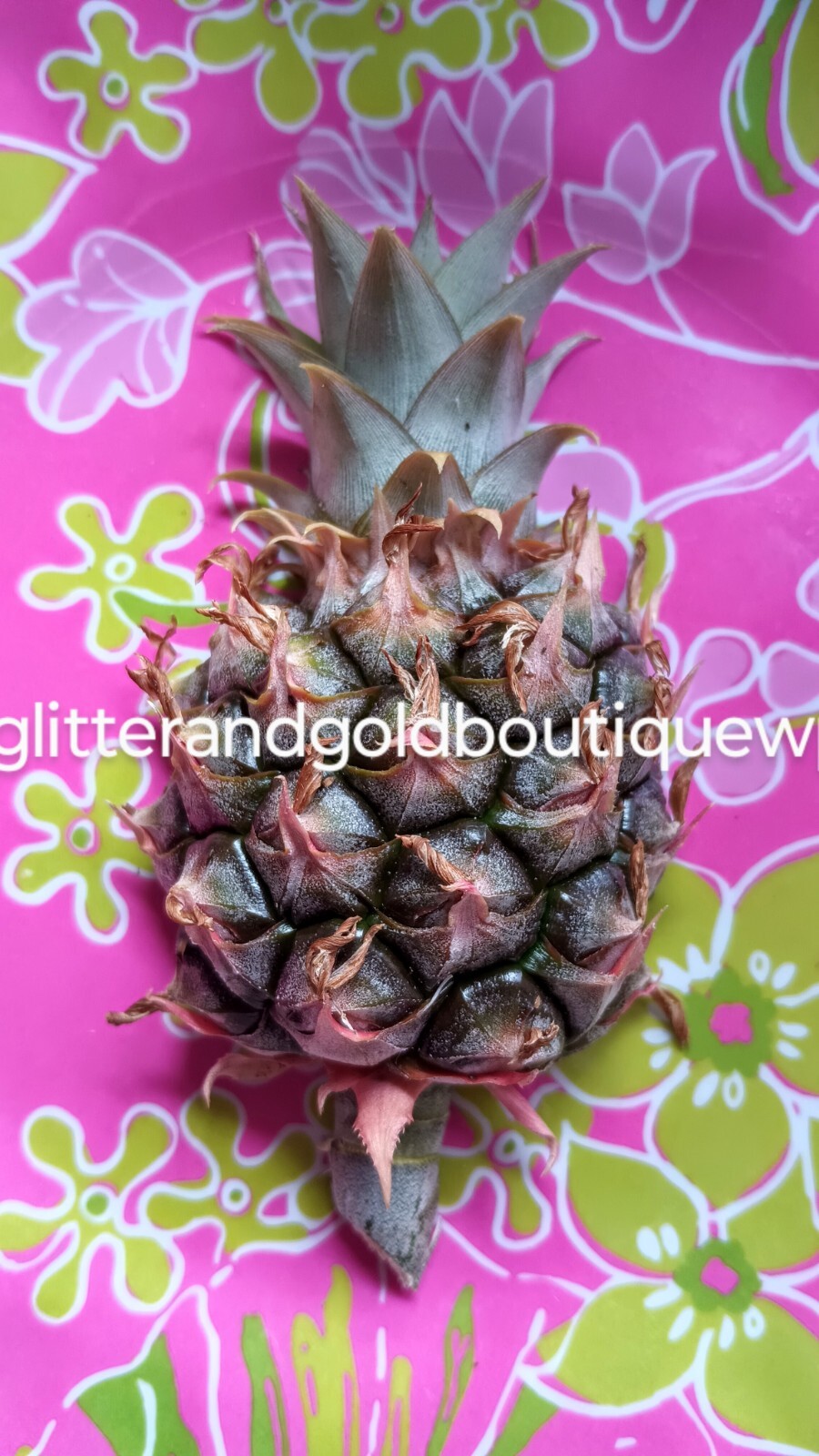 Digital Image Picture Photo Pineapple w Lilly Pulitzer Background