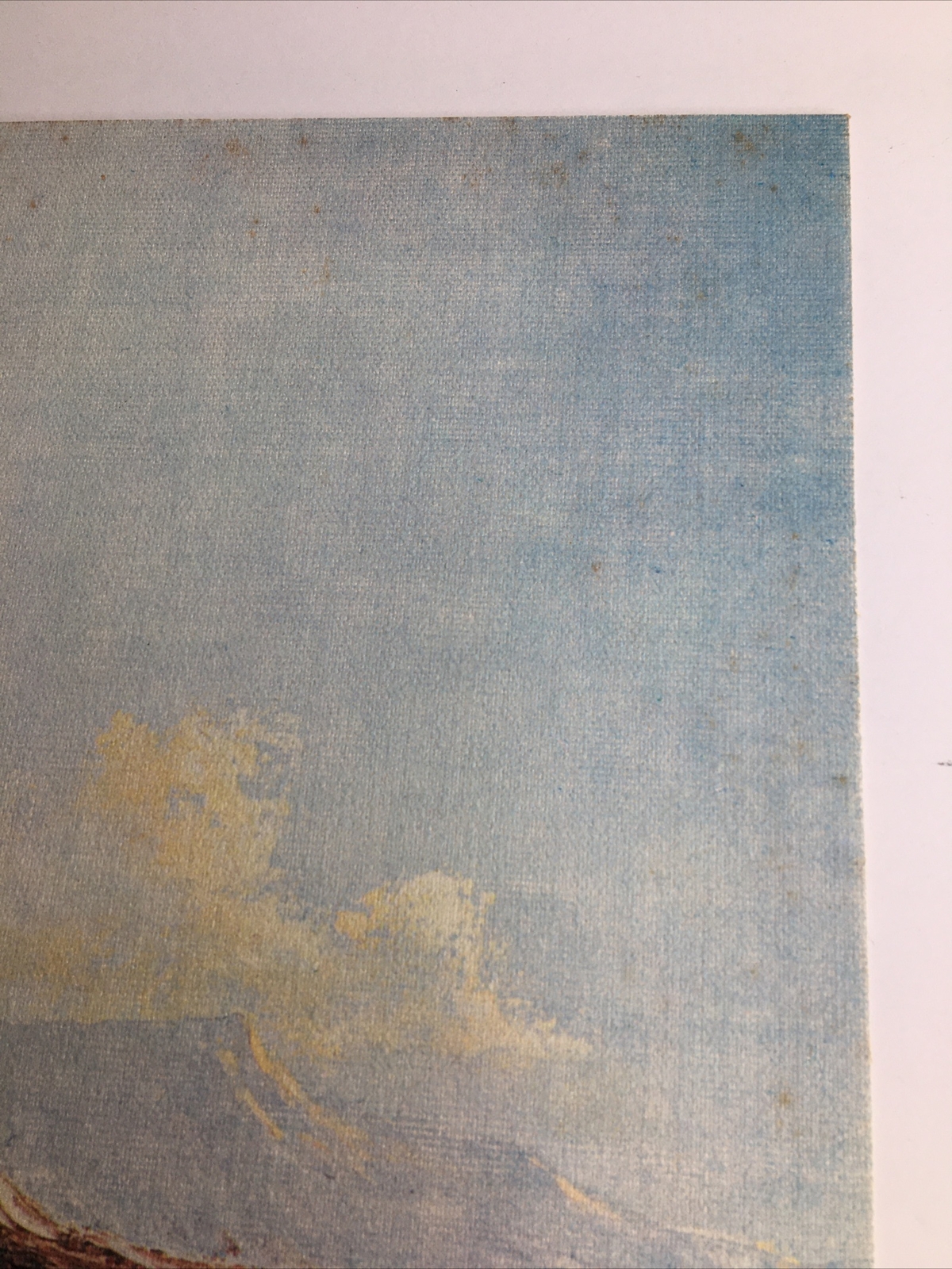 Vintage MCM Art Treasures Inc John Loo Nature Lithograph on Canvas Unframed G3