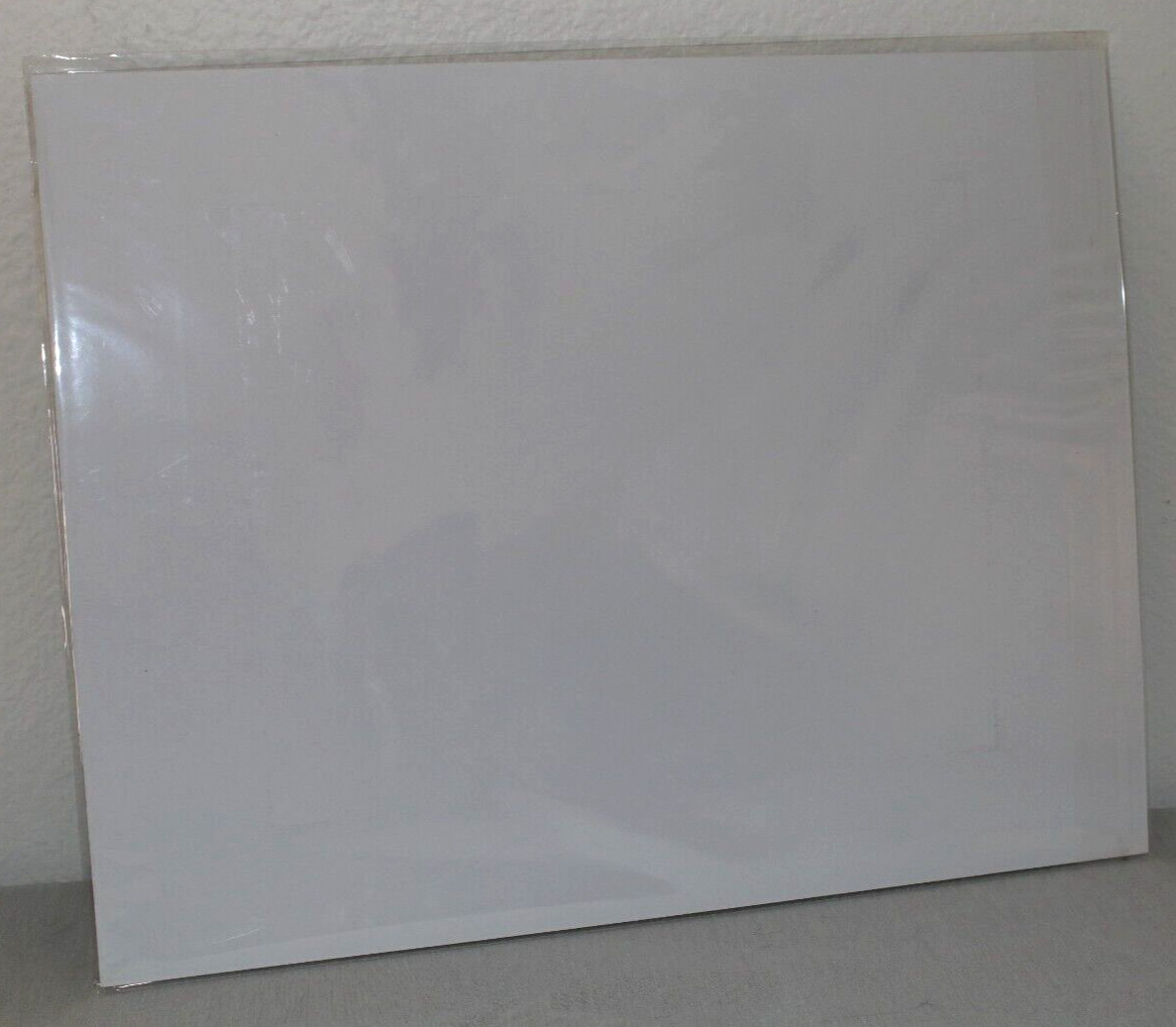 Turkey Buzzard Wildlife Photo 8″ x 10″ in 11″ x 14″ Matte Signed by Kim Barry