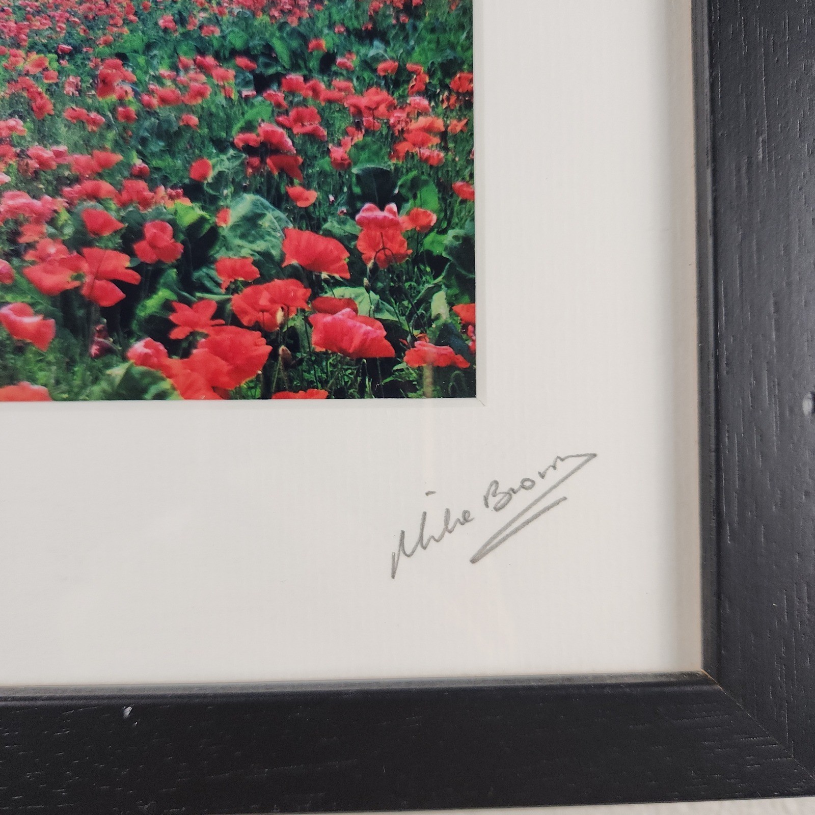 Mike Brown Photography Poppyfield West Cork Signed Framed Art Irish Landscape