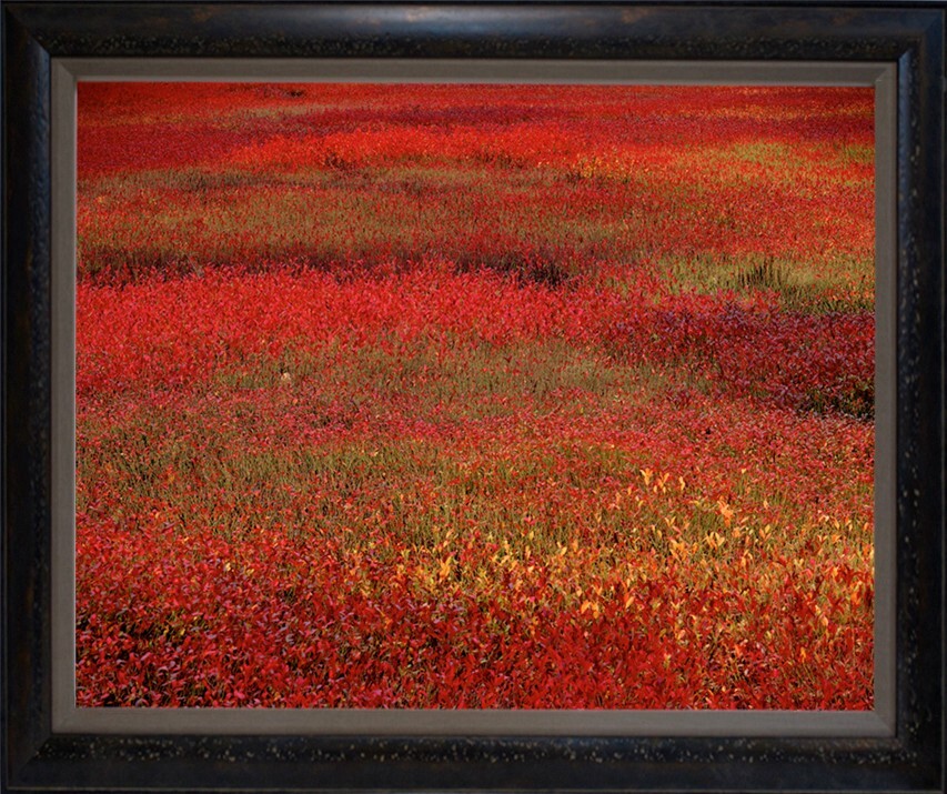 Photographs, 28×35″ framed, film originals, various subjects, my imagery – $880
