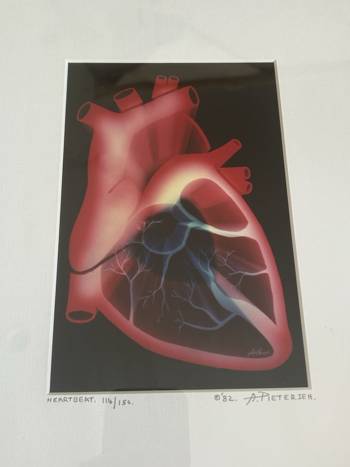 Abstract Photo Litho Matted & Framed ’82 Limit Edition 114/150 Alex Pietersen.