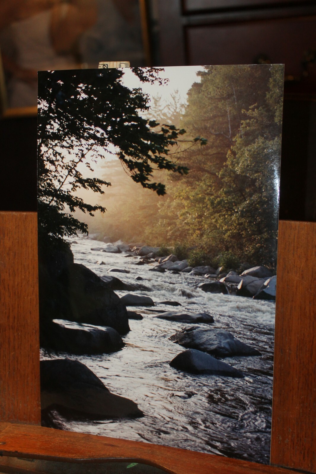Vintage Signed 8×12 Photo W. Beebe East Tennessee Mountain Stream