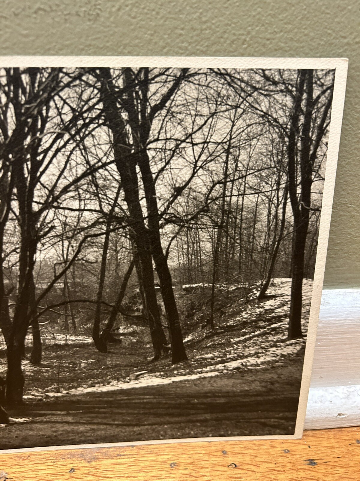 Arthur Gray Standard Oil Photographer Cleveland Ohio Americana Wooded Landscape!