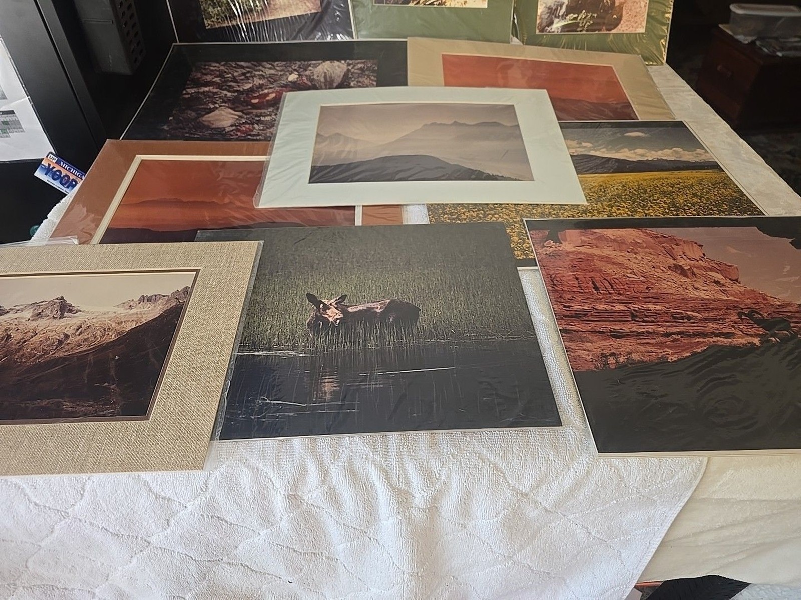 Lot Of 11 Western Landscape Photos 11×16, 12×16, 11×16 Mountains Wildlife