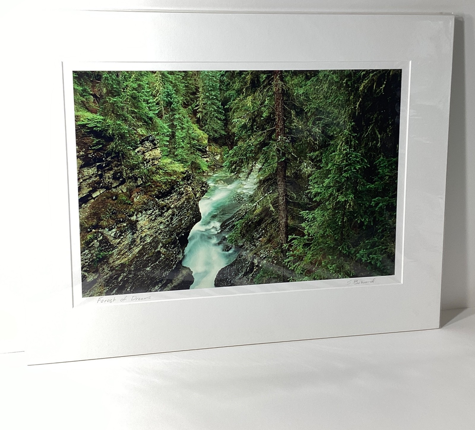 Fine Art Photograph Forest of Dreams Canadian Rockies Landscape Signed & Matted