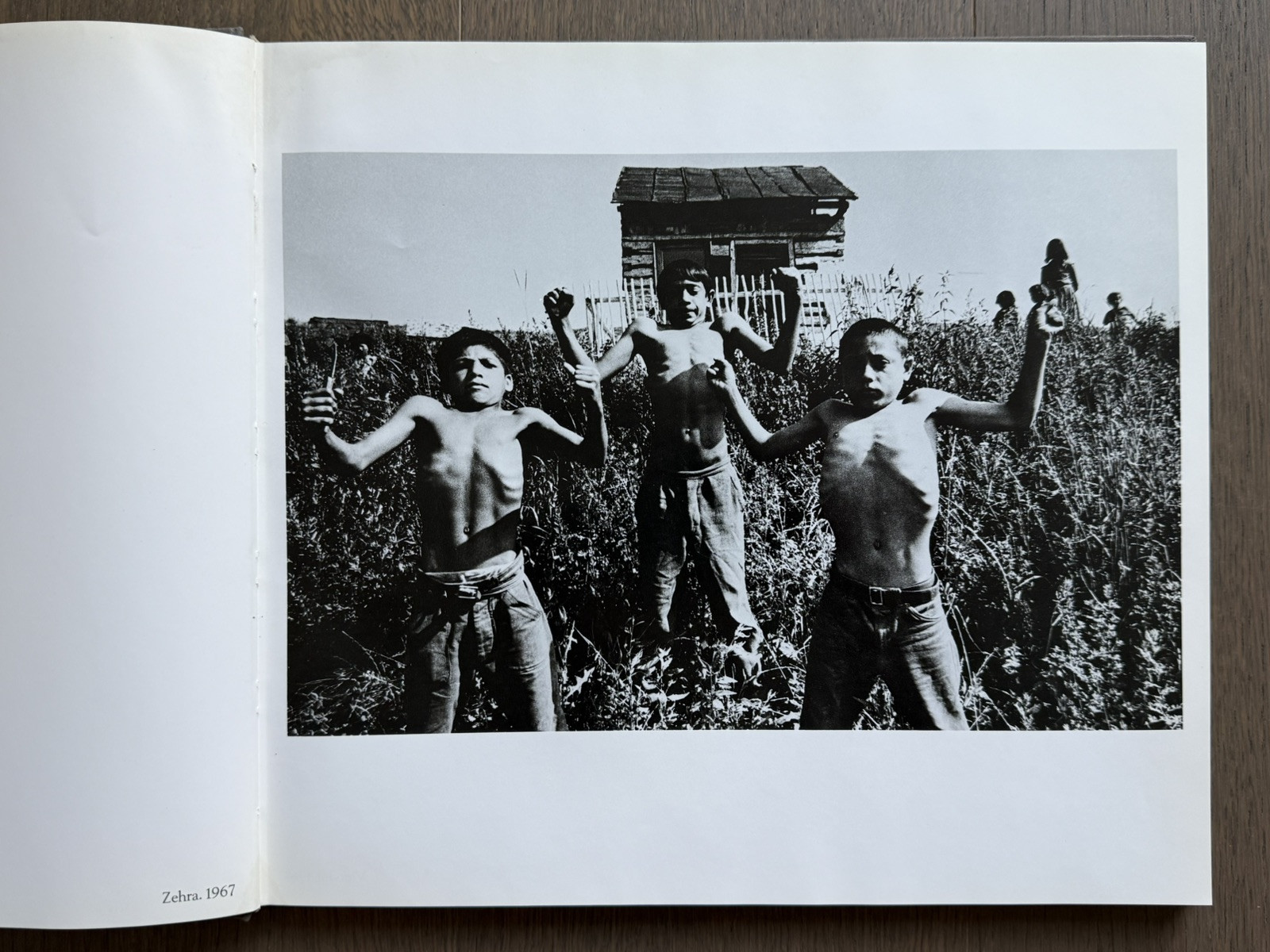 🎈SALE! Josef Koudelka – Gypsies 1975, Photography 1st Edition, HC, Super RARE!