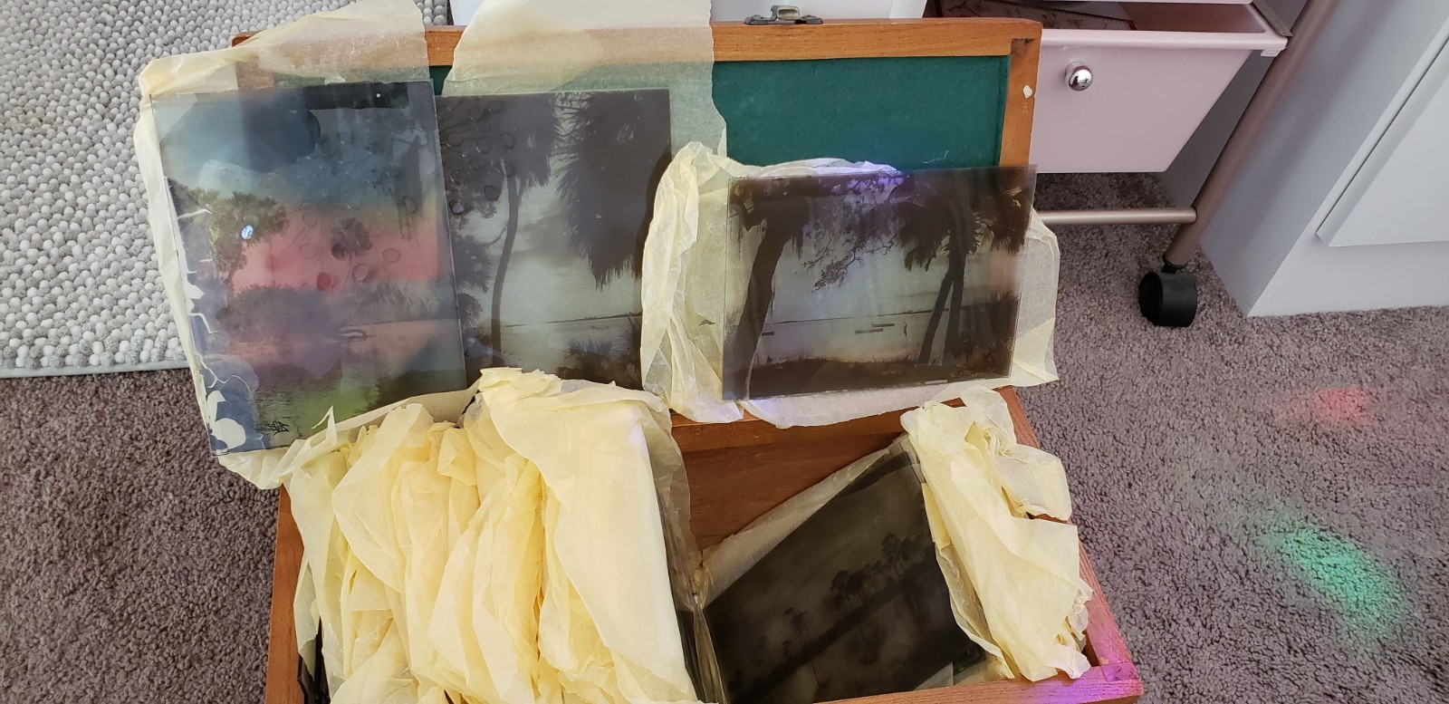 E G Barnhill – 5 x 7 Black & White Photo on Glass Plate – BOK TOWER