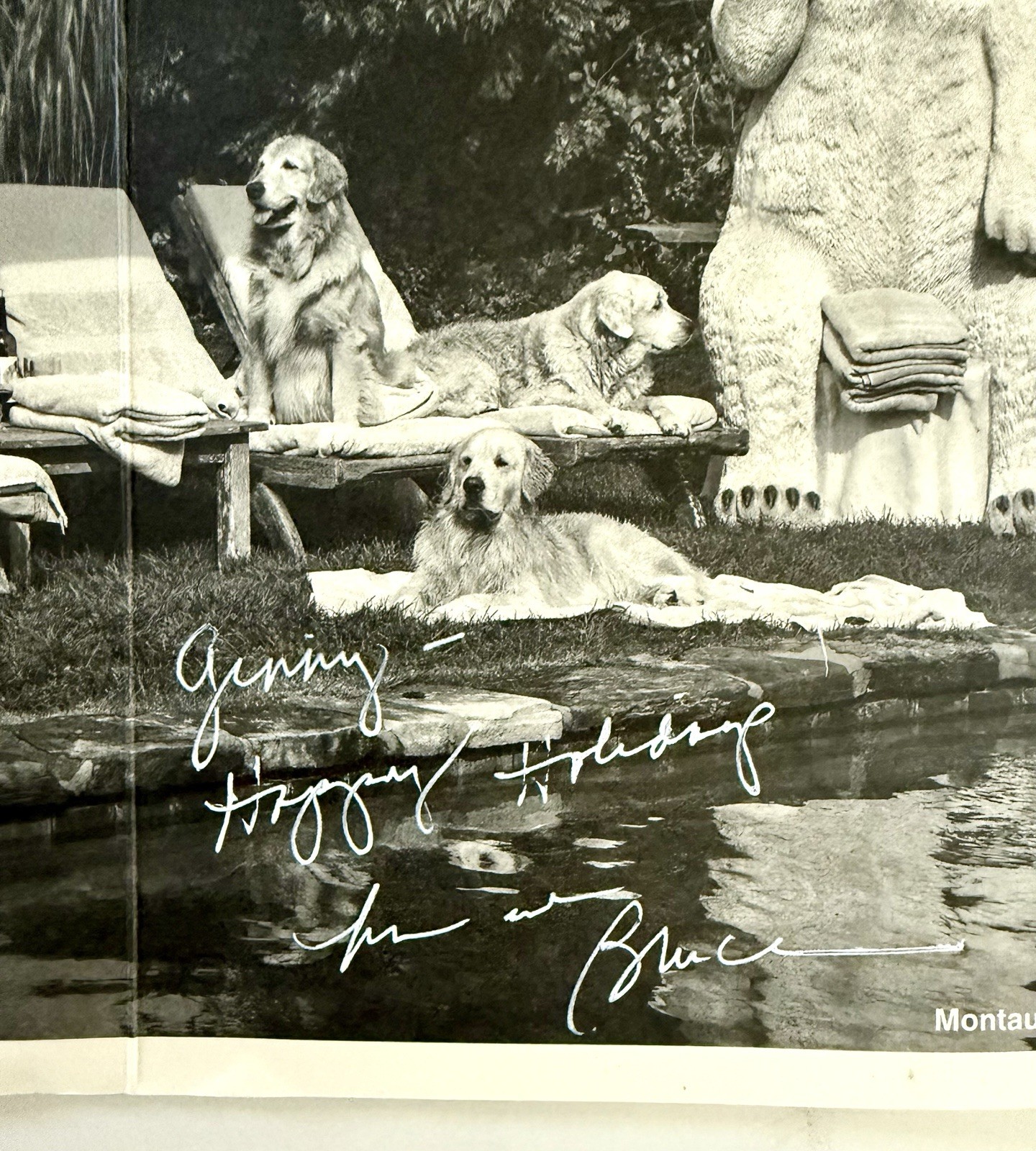 Pair of Bruce Weber Original SIGNED Cards Photographs 2016 & 2019 Dogs Rare