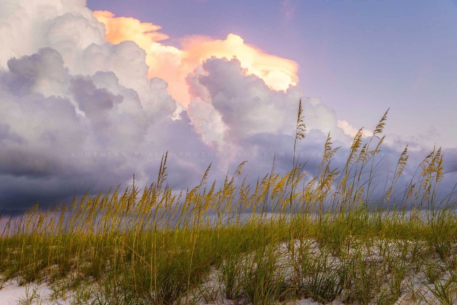 Gulf Coast Photography Print | Coastal Beach Picture | Alabama Wall Art