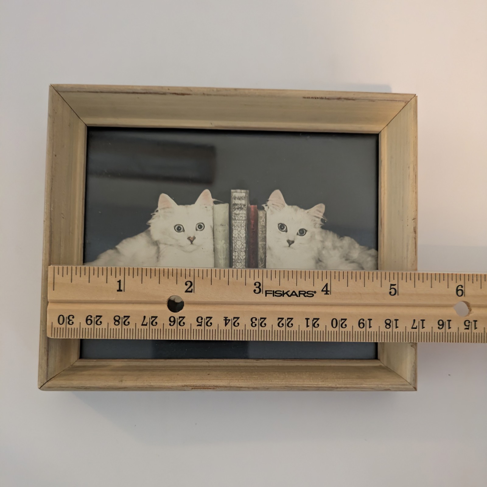Bradley R Currey Cats Pictures Lot Of 6 White Cats 5.5″ X 4.5″ Piano Books Chair