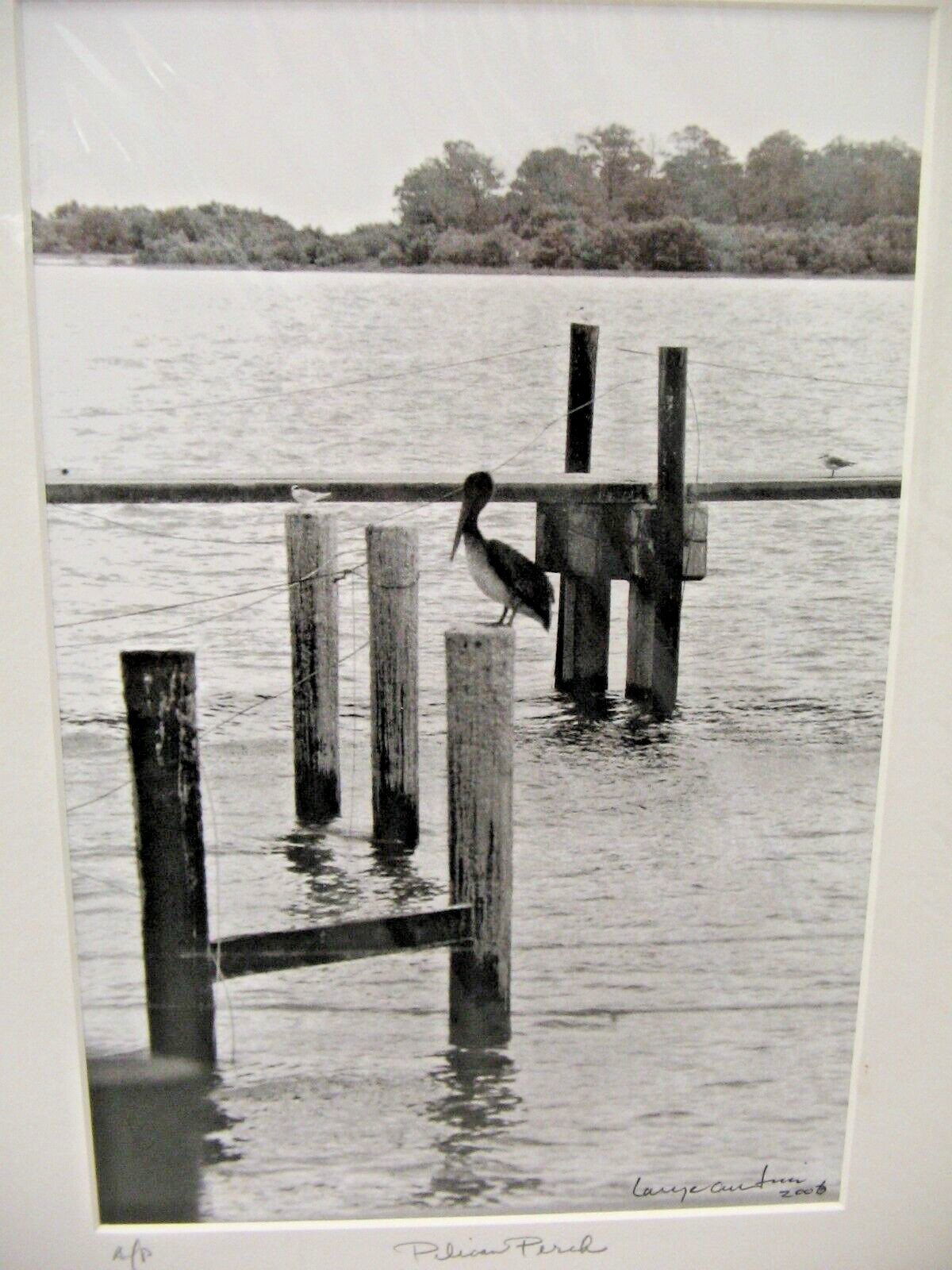 ART PHOTOGRAPHY 16×20 Pelican Perch B&W A/P Matte Acid Free by Larry Santucci