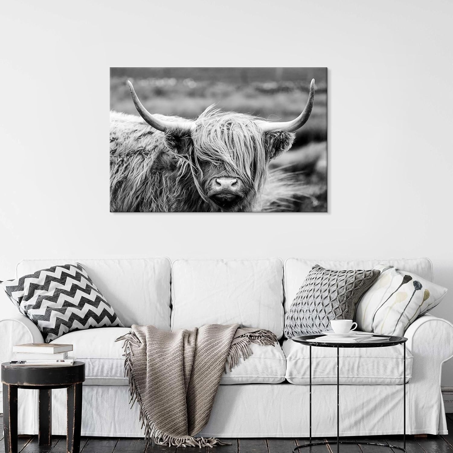 Highland Cow Photography Wildlife Portrait Picture Black and White Closeup An…