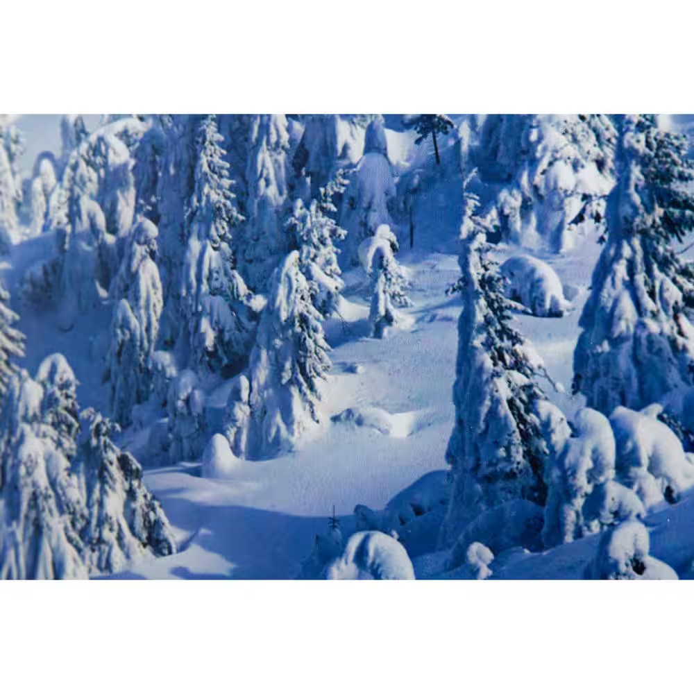 “Alpine Landscape” Silver Frame Photography Wall Art 23.6 In. X 63 In.