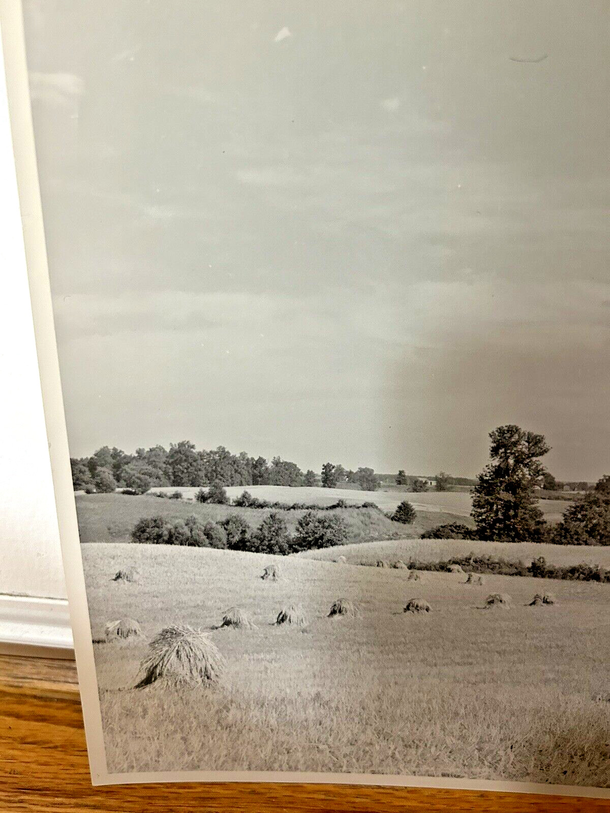 Arthur Gray Standard Oil Photographer Cleveland Ohio Americana Haystacks Monet!!