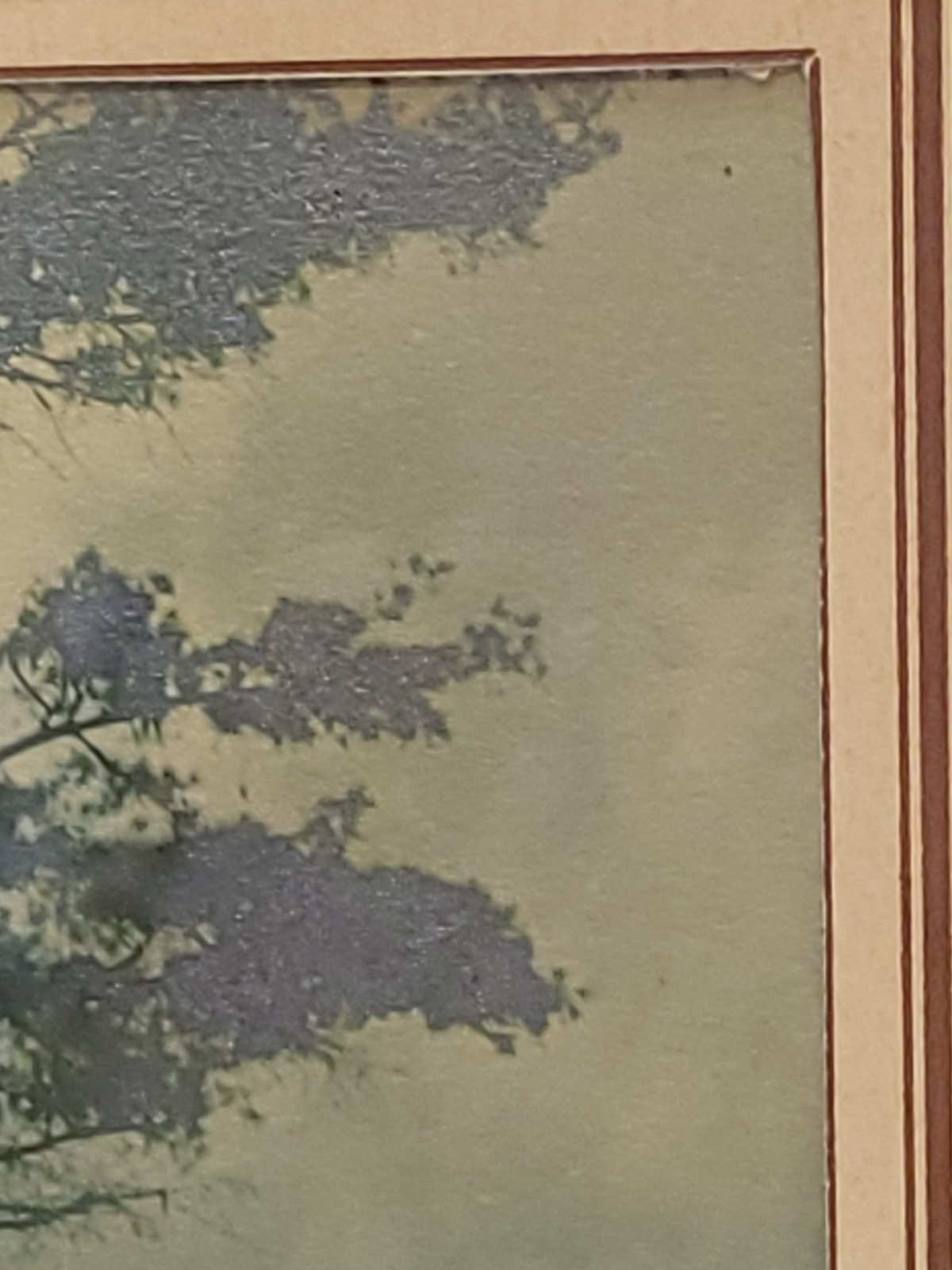 Vintage Scenic Photograph Framed Art Lost Lake Michigan, Trees Antique Art 1939