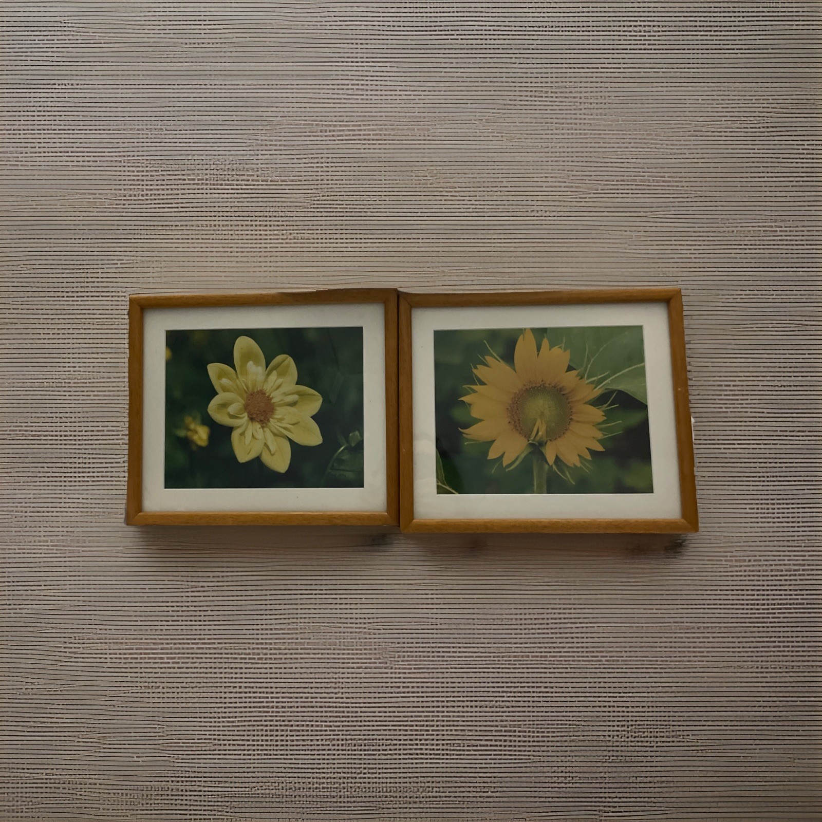 Framed & Matted Sunflower Dahlia Photo Art Vintage 1980’s Signed Caryl Heral