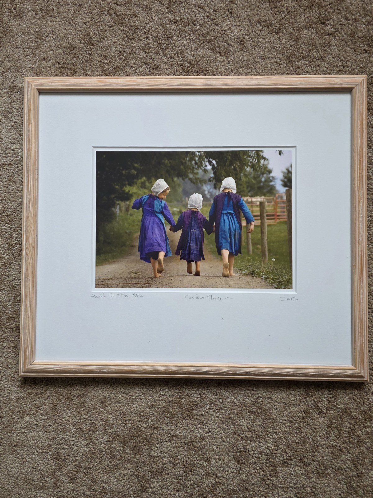 Bill Coleman Amish Photography Framed w/ Authenticity Certificates Set Of 3
