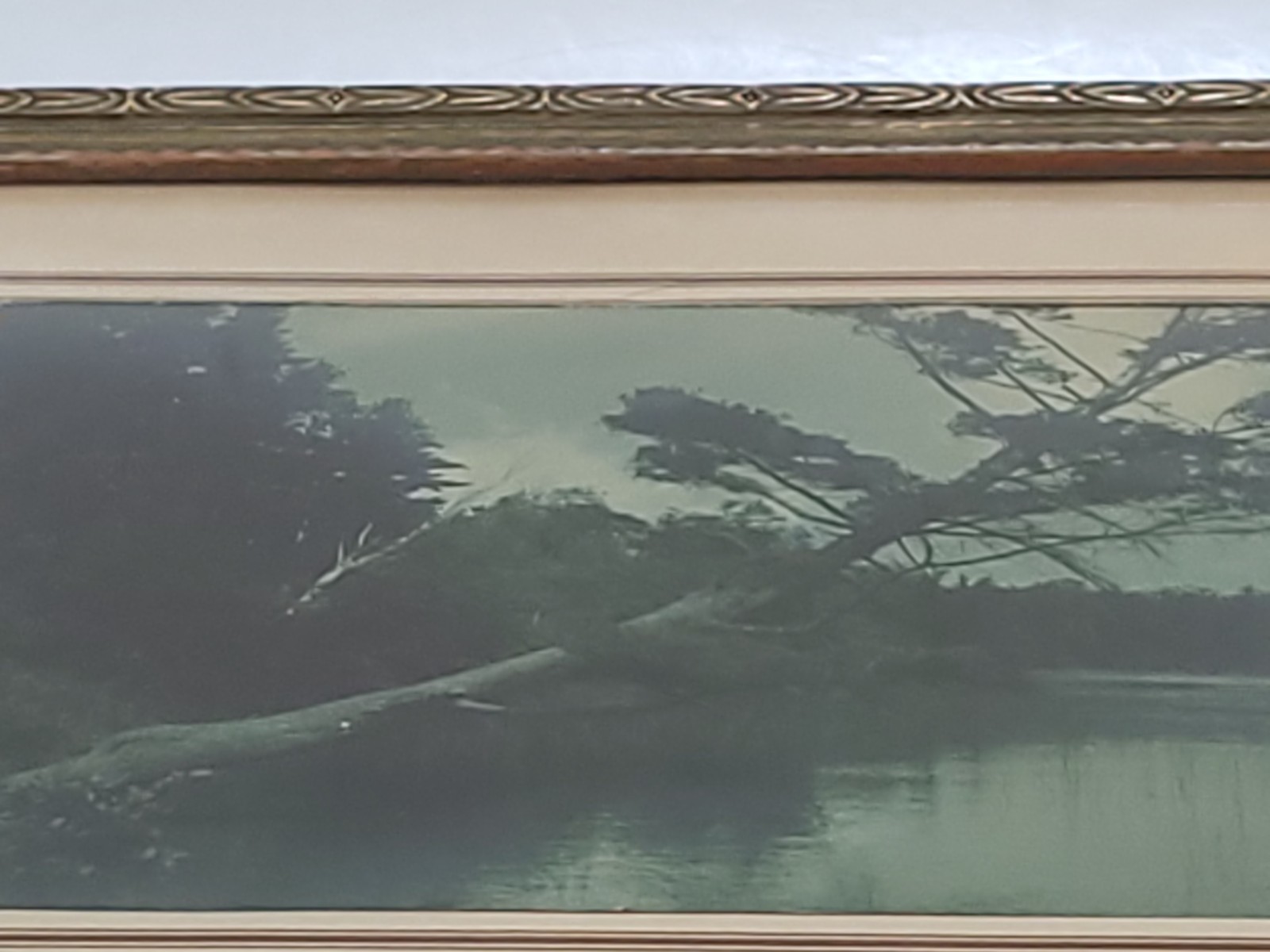 Vintage Scenic Photograph Framed Art Lost Lake Michigan, Trees Antique Art 1939