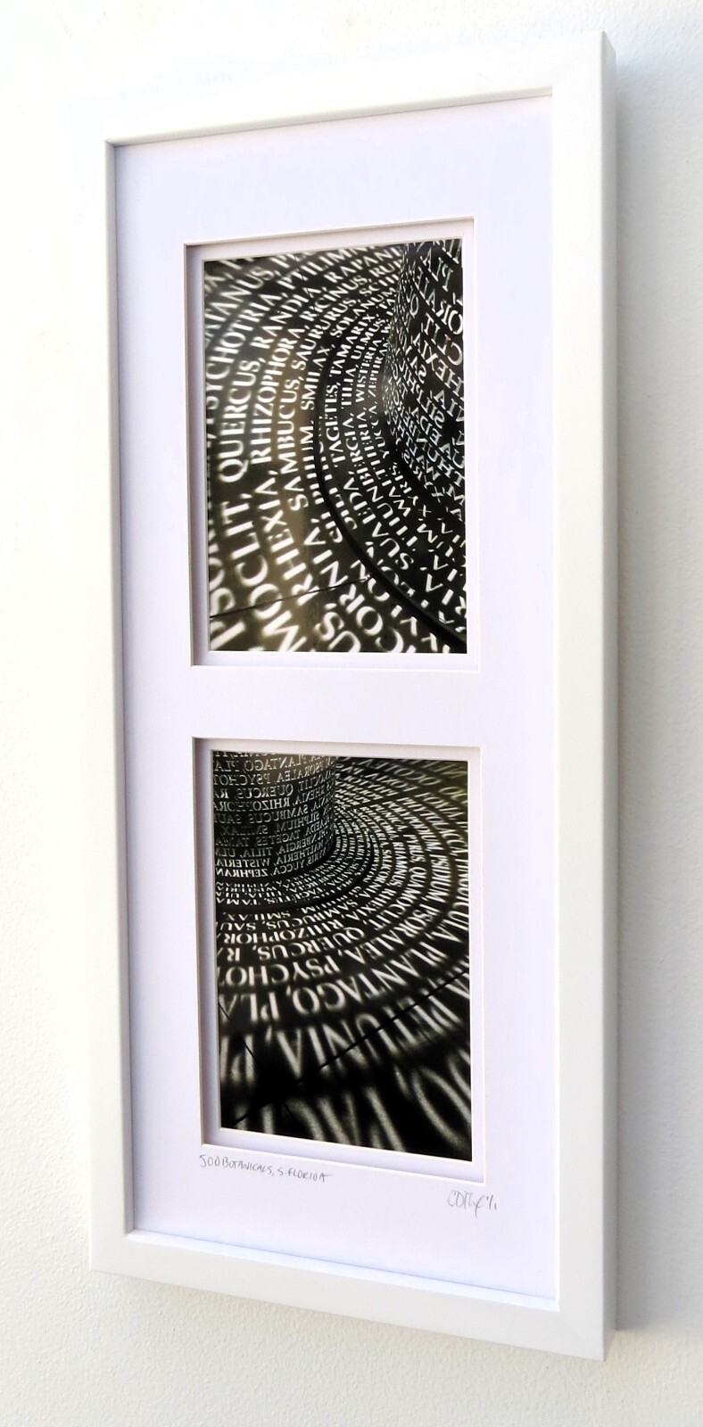 Framed Original Photography, Architectural, Travel, Sculpture by C. Damien Fox