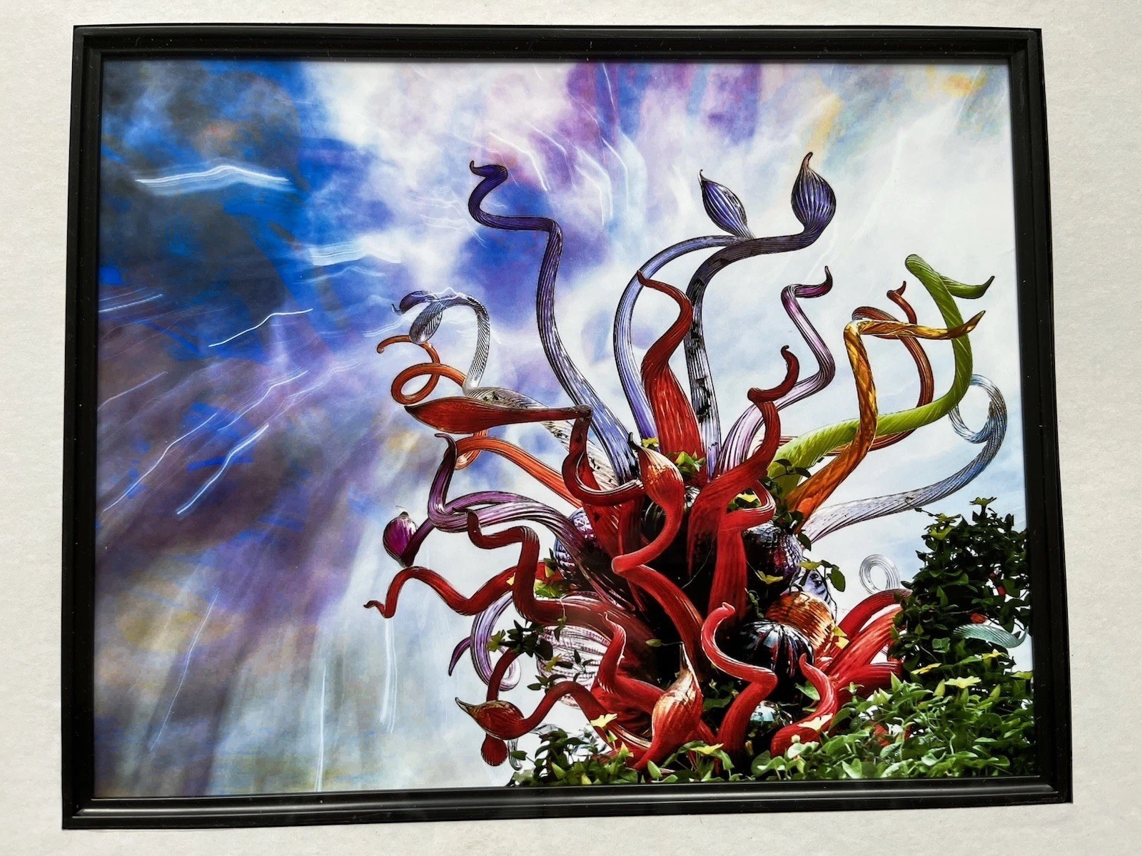 Chihuly Glass By Doug Barlow Atlanta Botanical Gardens Archival Photo Art 15X12