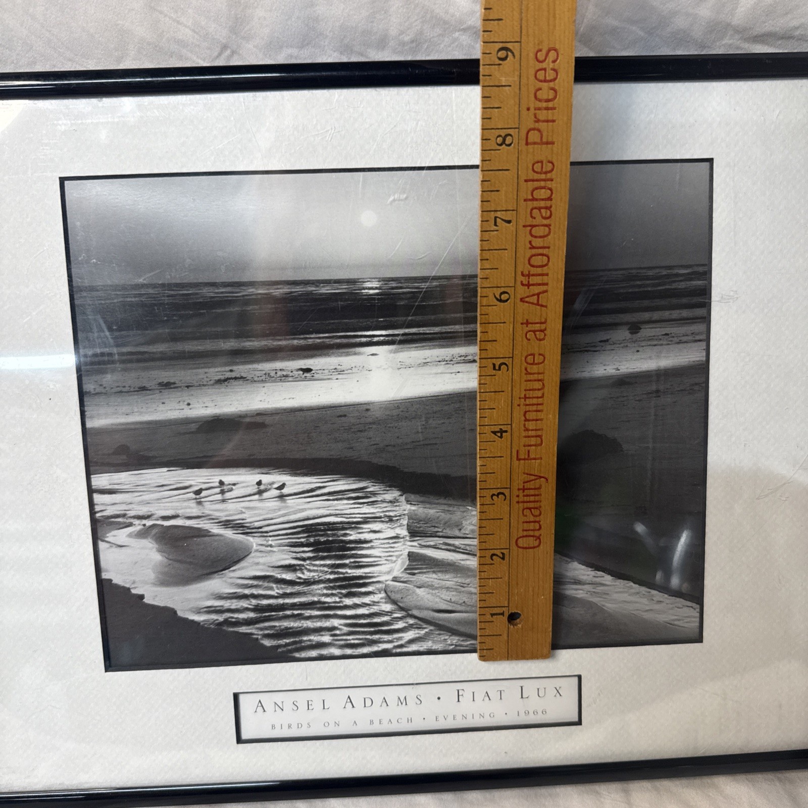 Ansel Adams Birds on a Beach Evening Framed Framed 1966 Photo 12×14 Wall Art VTG