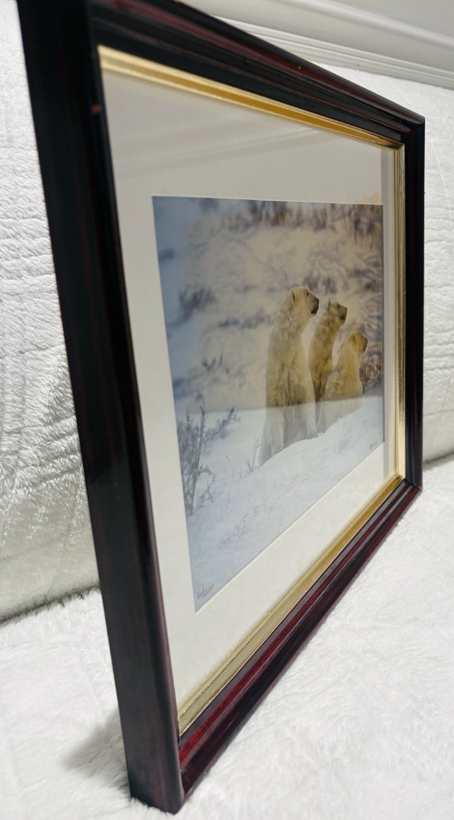 Mike Kelly Framed Limited Edition Photograph Polar Bears in Snow Signed 16/1200