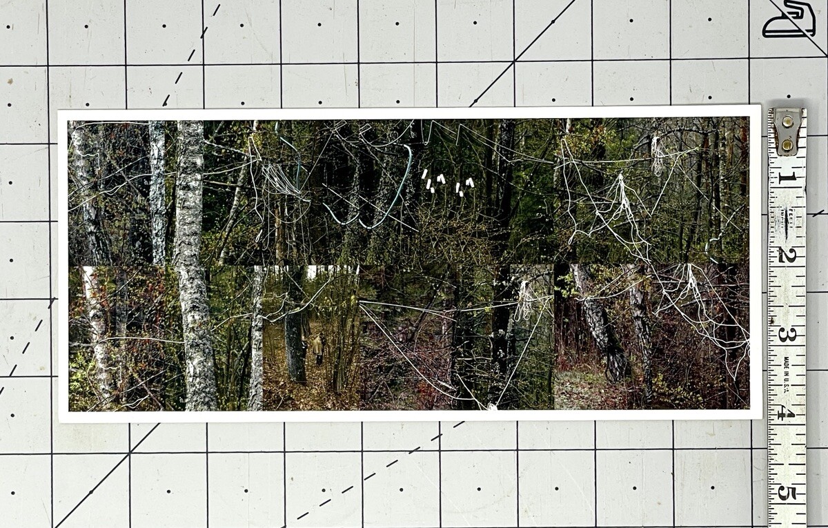 Susan Rankaitis (b. 1949) Art Announcement Card 2007 – Limbicwork